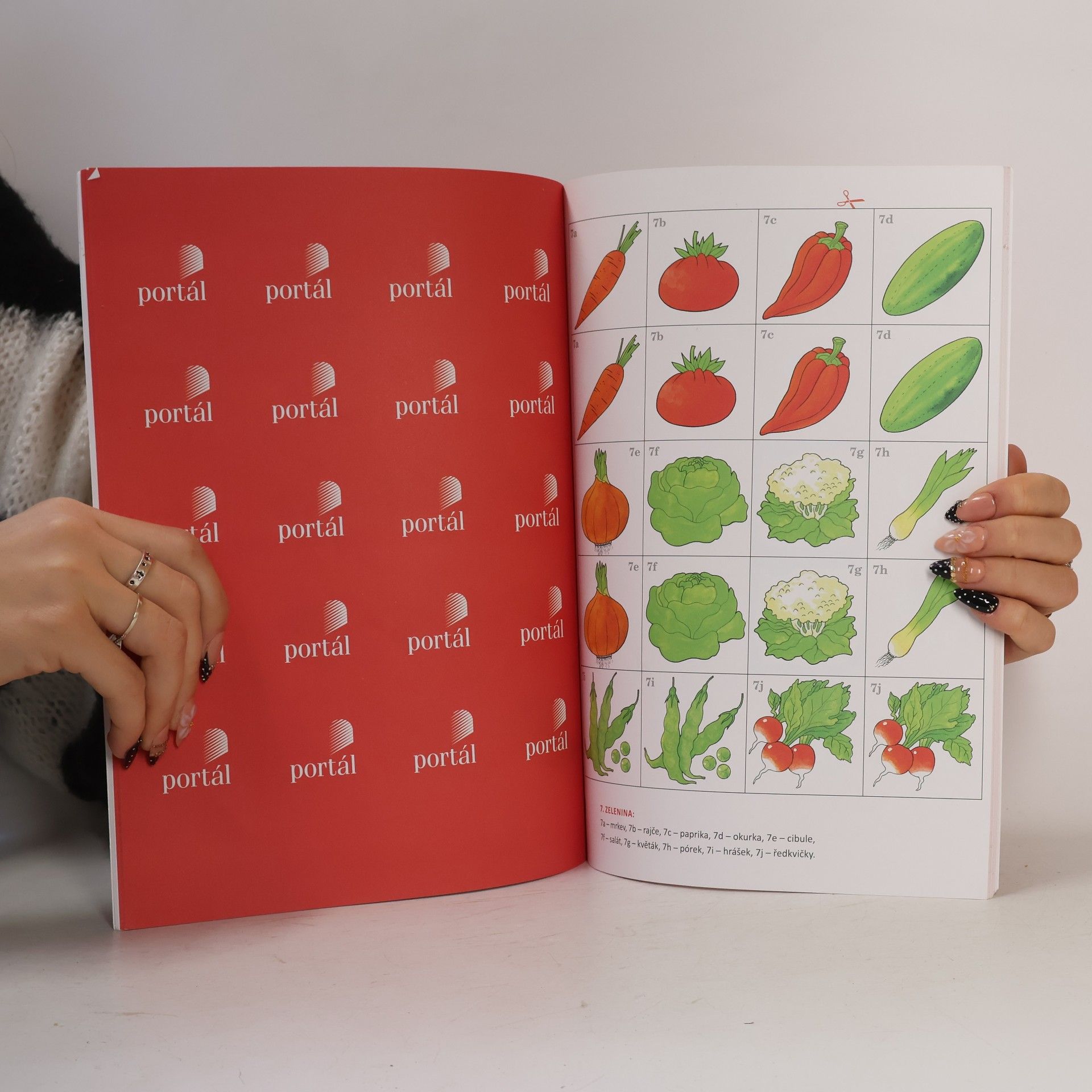 Jana Havlíčková Velké logopedické pexeso 1