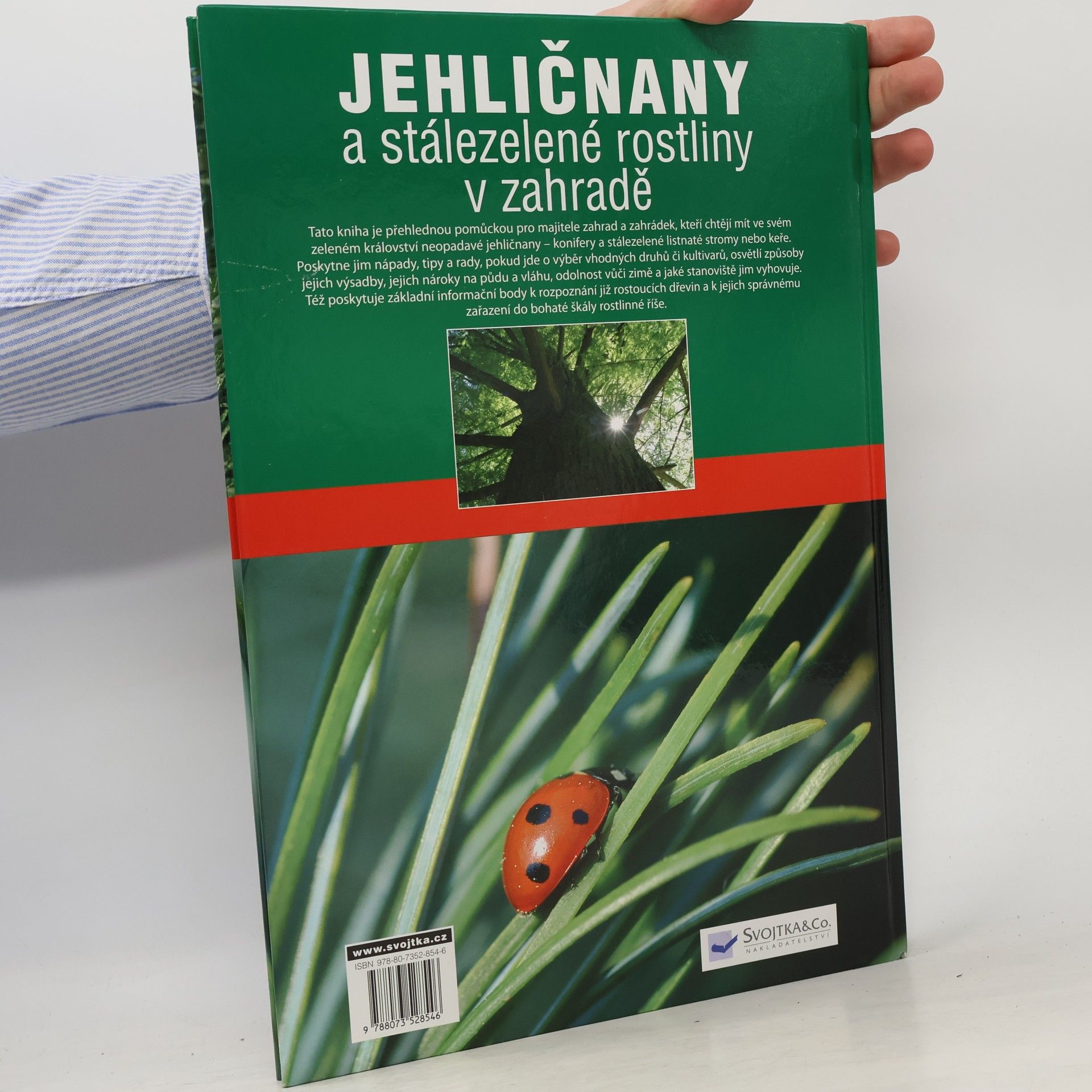 Marcell Kiss Jehličnany a stálezelené rostliny v zahradě