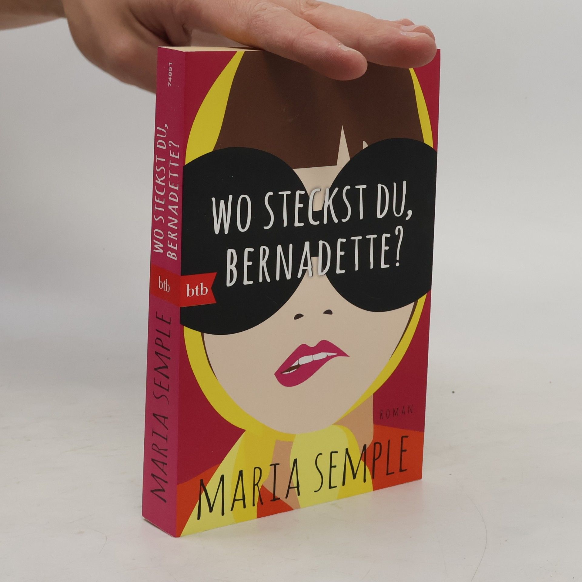 Maria Semple Wo steckst du, Bernadette?