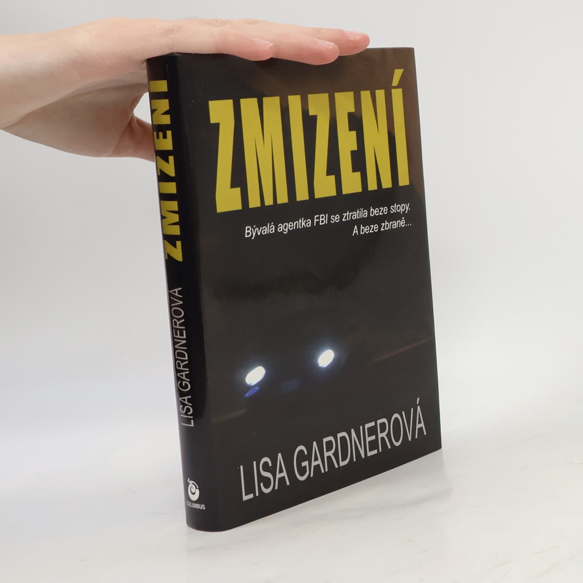 Lisa Gardner Zmizení
