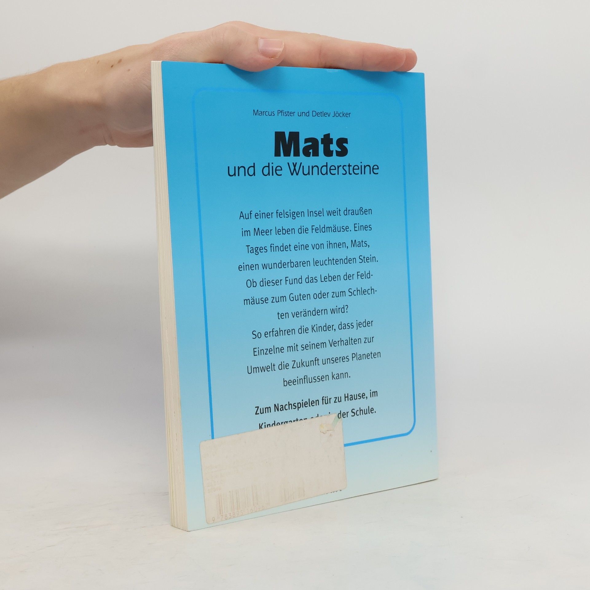 Marcus Pfister Mats und die Wundersteine