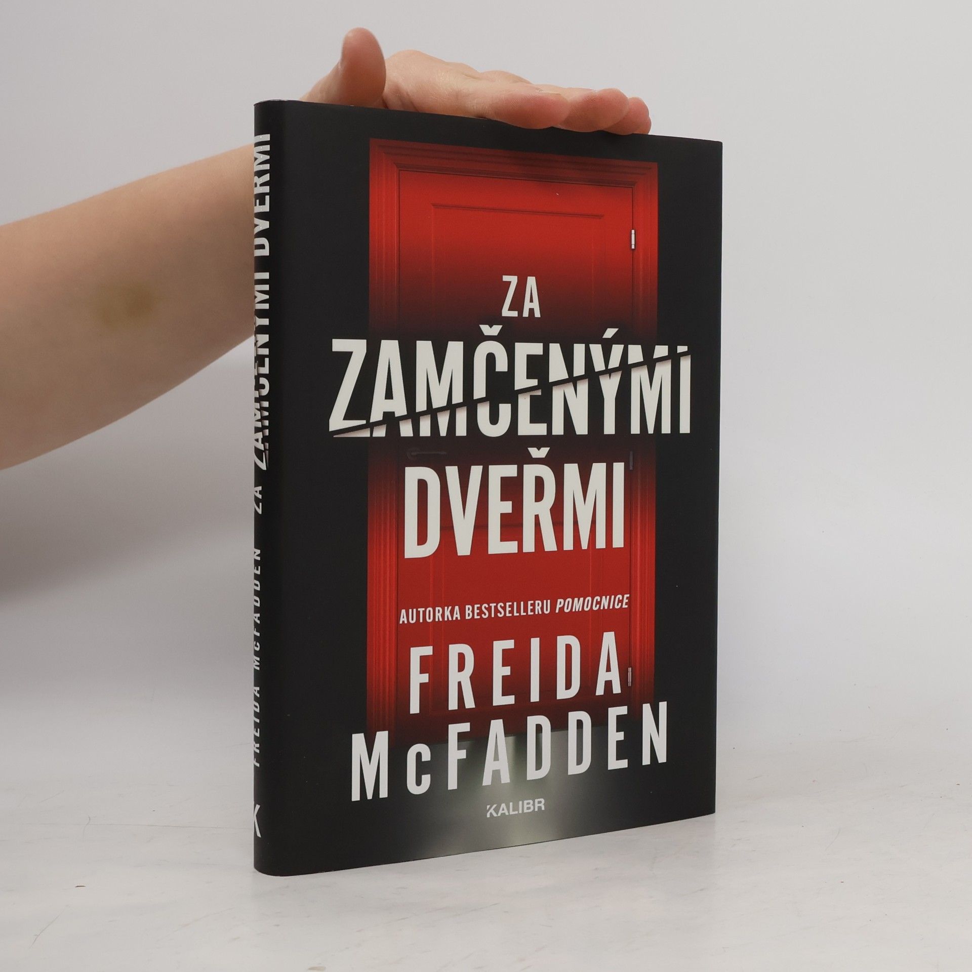 Za zamčenými dveřmi