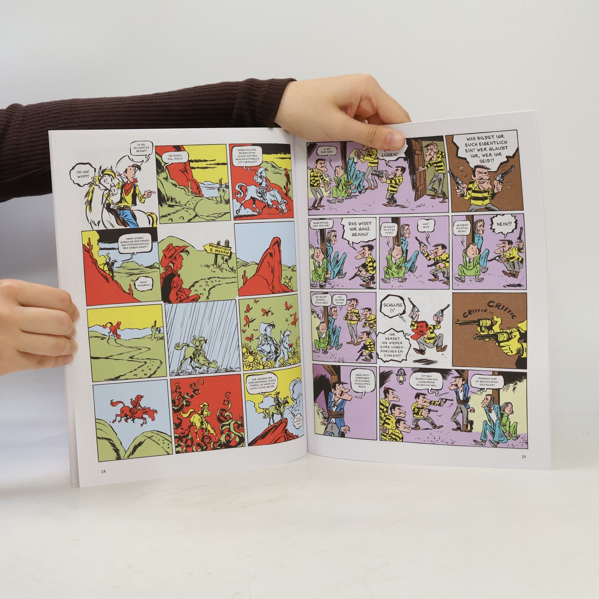 Flix Lucky Luke - 8: Die Grimm Brothers
