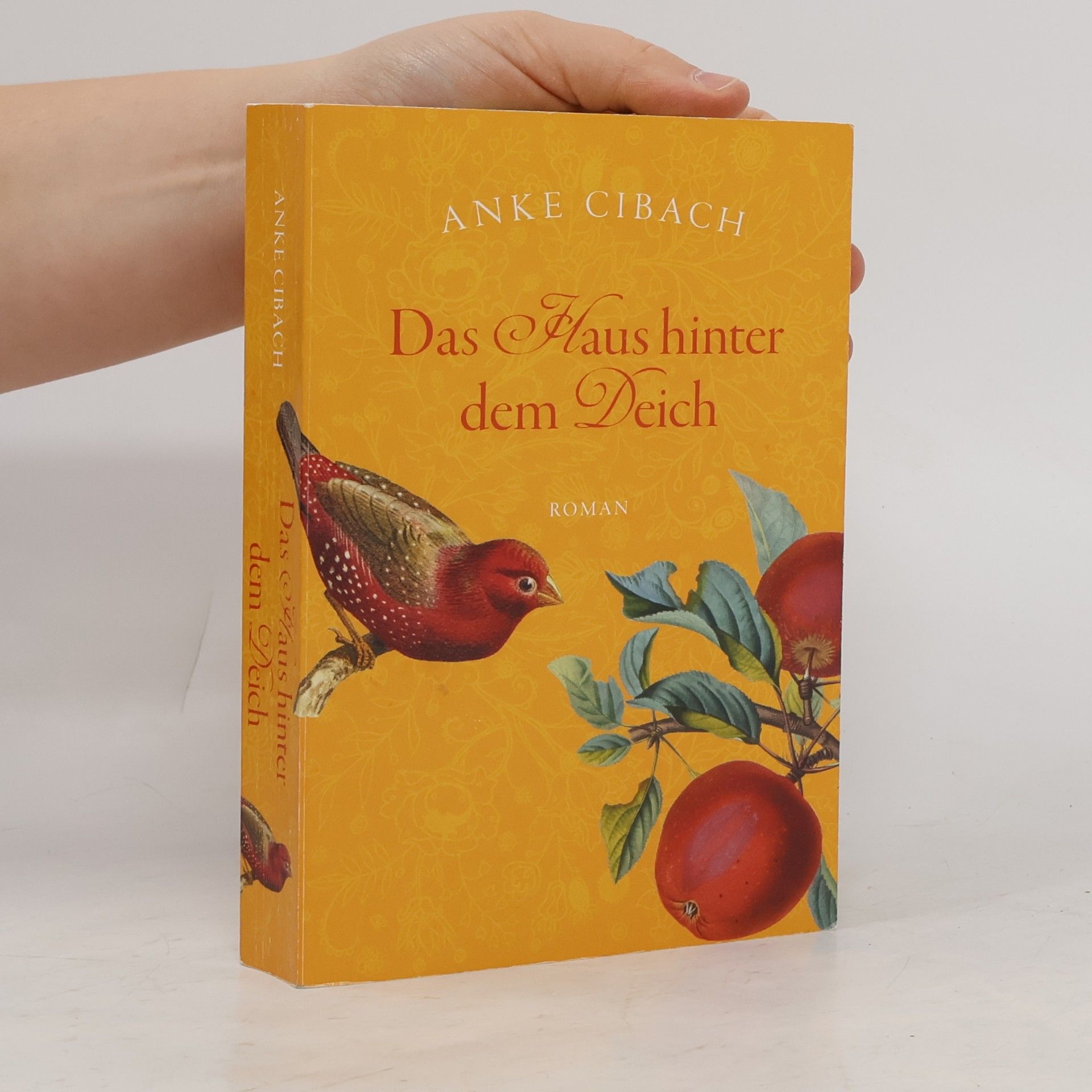 Anke Cibach Das Haus hinter dem Deich