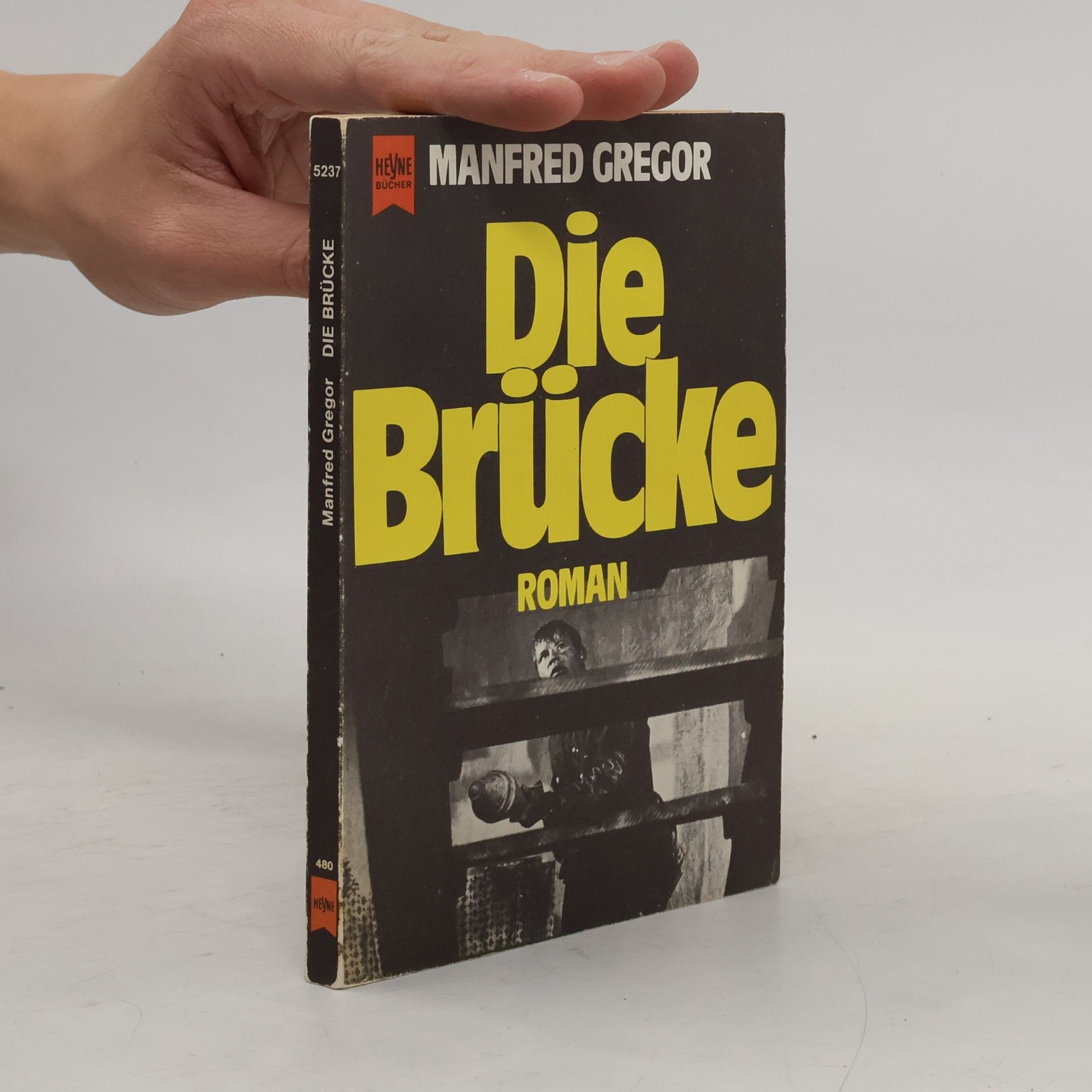 Manfred Gregor Die Brücke