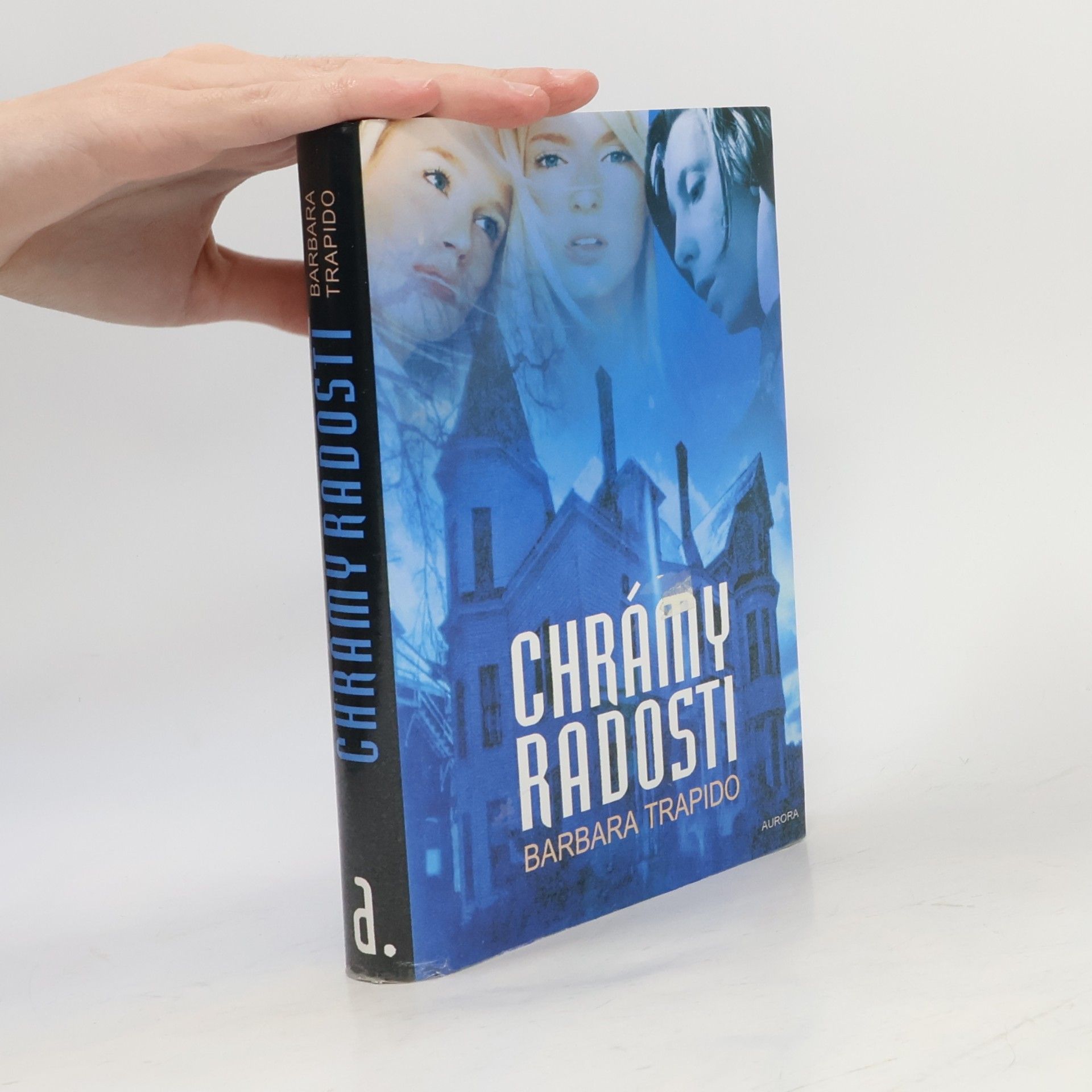 Barbara Trapido Chrámy radosti