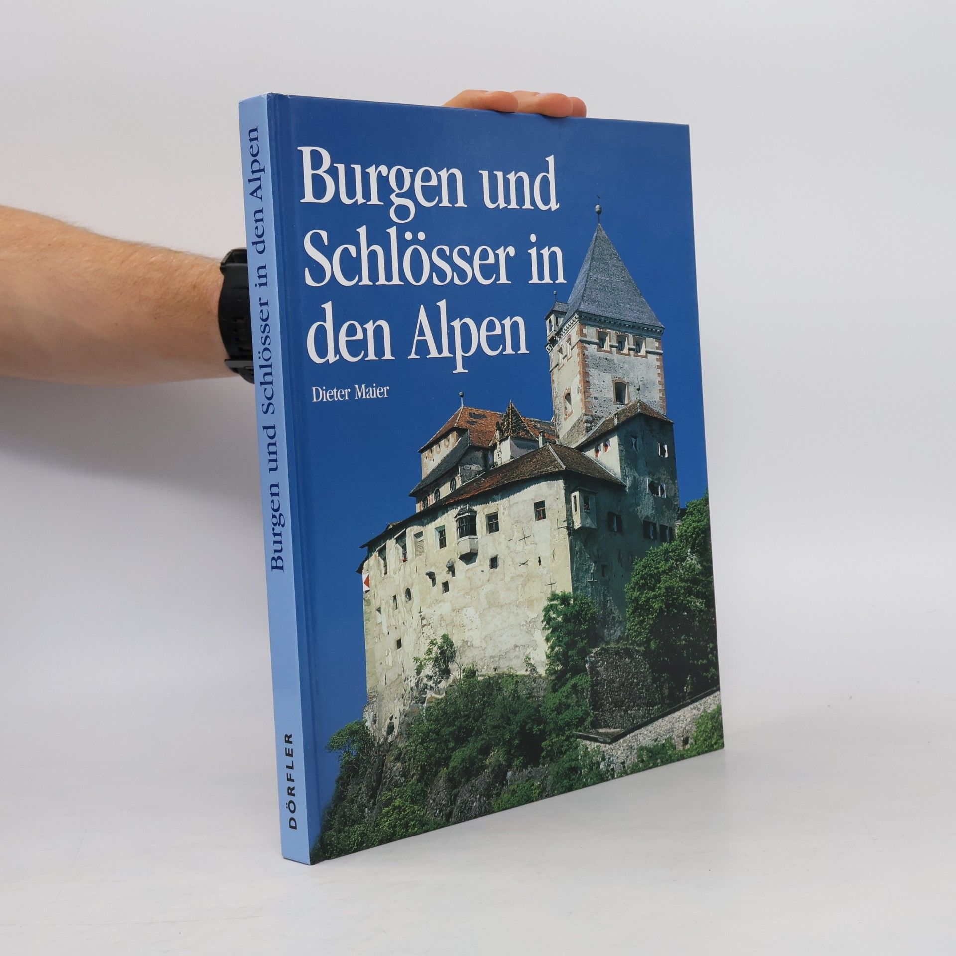 Burgen und Schlösser in den Alpen