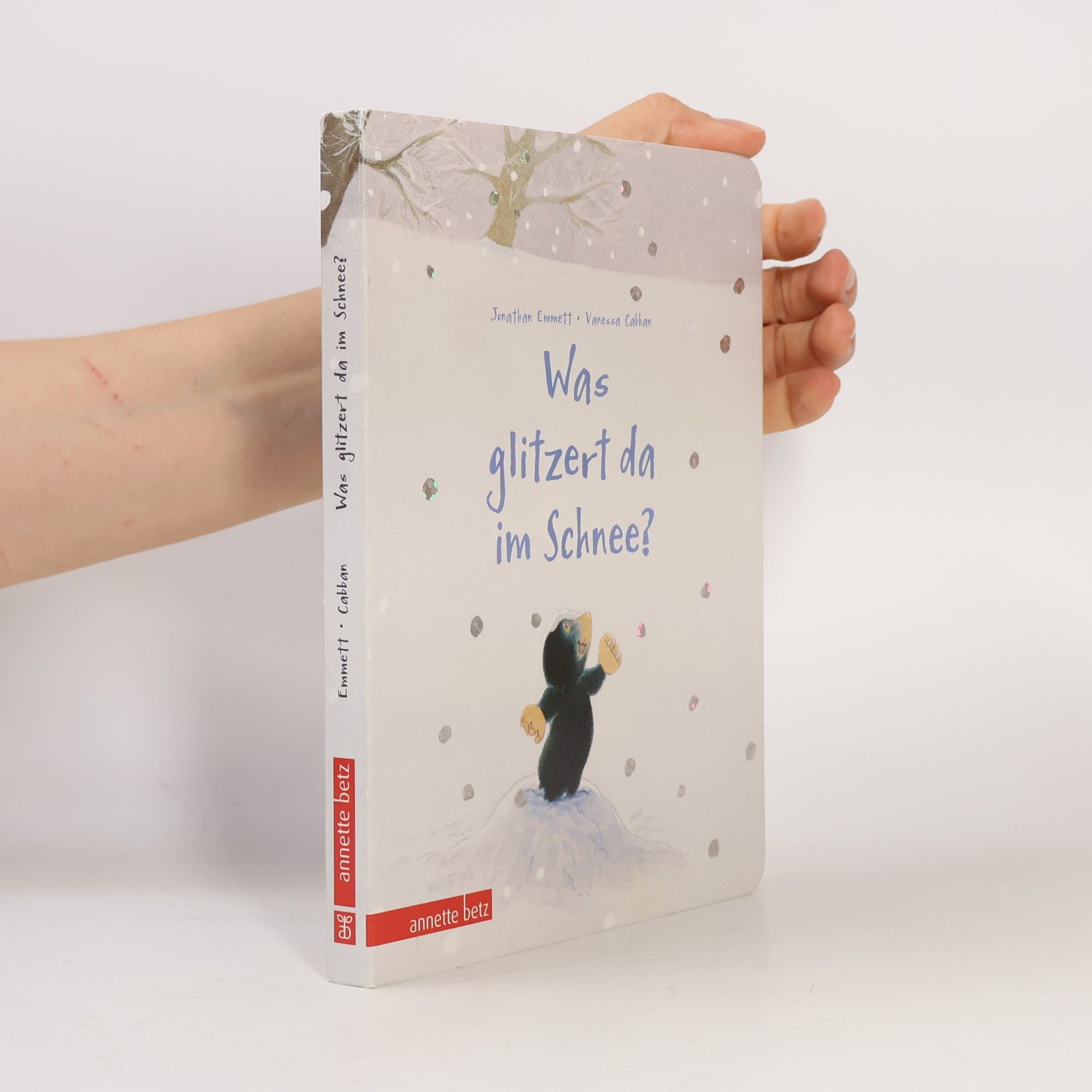 Was glitzert da im Schnee? - Ein buntes Pappbilderbuch über die Kunst, sich verzaubern zu lassen