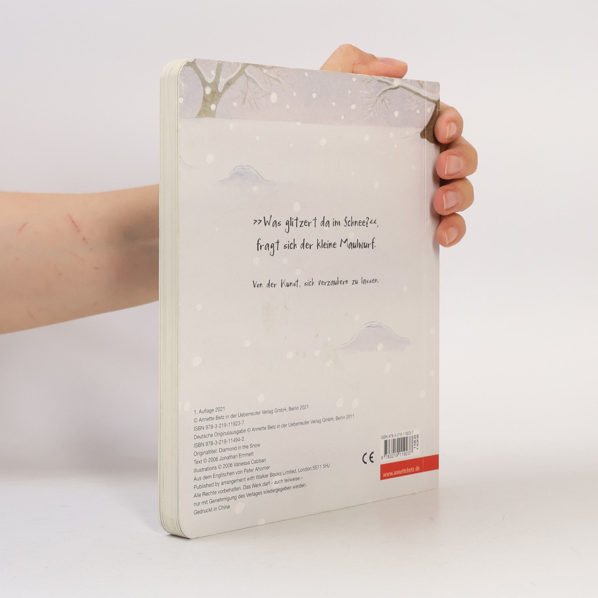 Jonathan Emmett Was glitzert da im Schnee? - Ein buntes Pappbilderbuch über die Kunst, sich verzaubern zu lassen