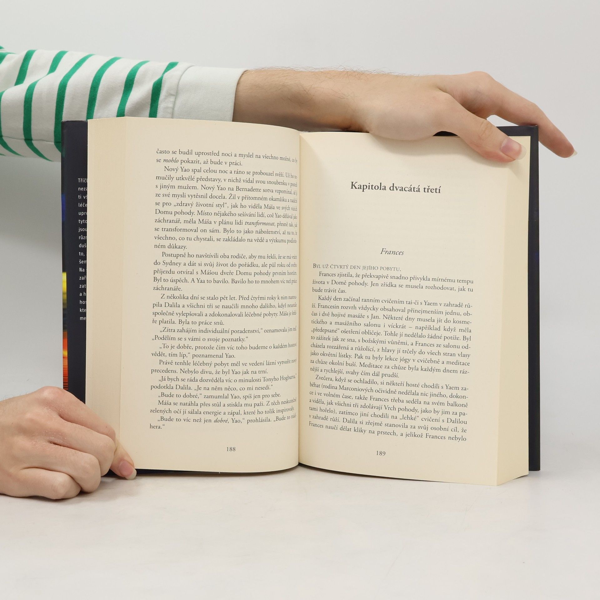 Liane Moriarty Úplně cizí lidé