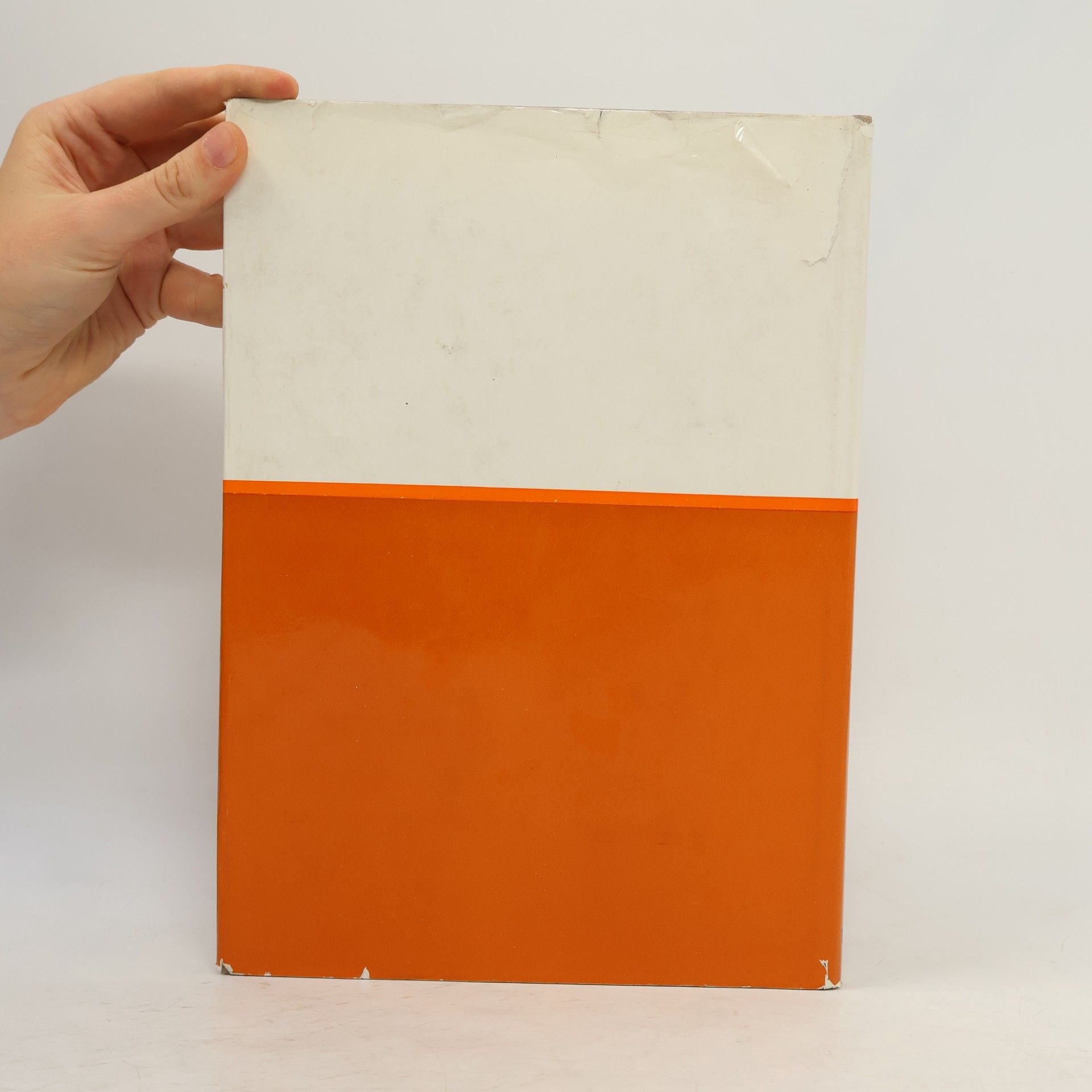 Fasold Bauphysikalische Entwurfslehre 5. Raumakustik