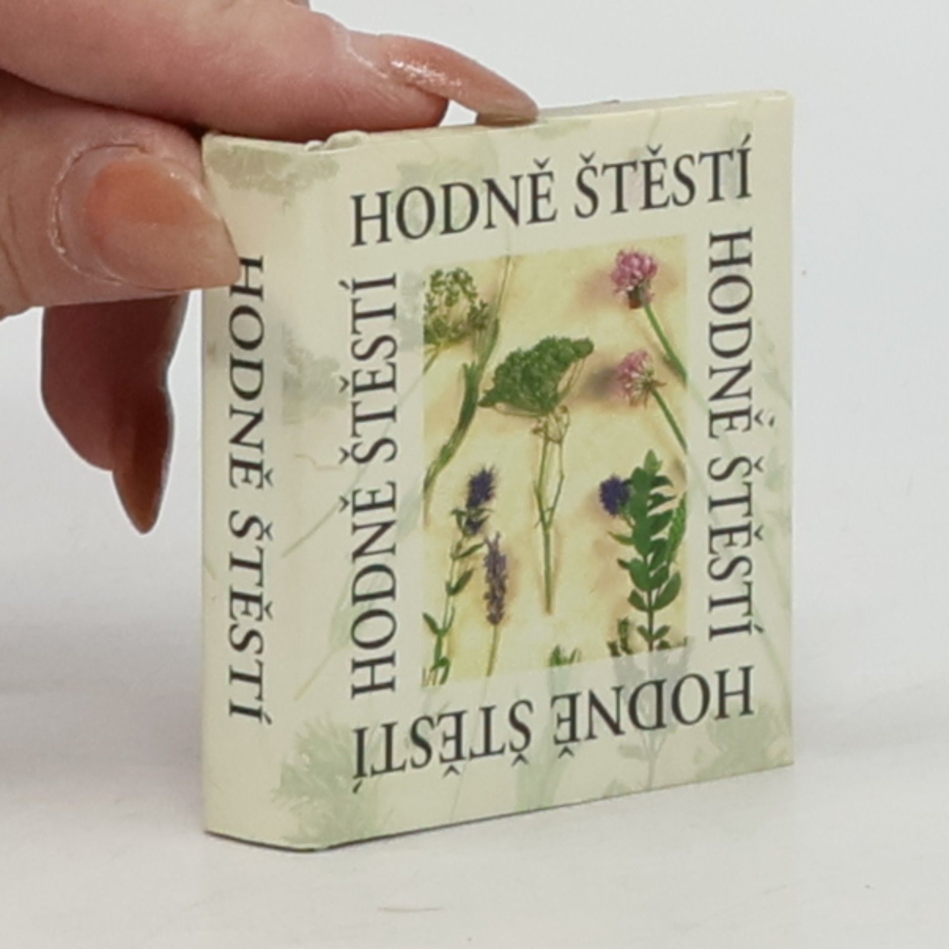 Kolektiv autorů Hodně štěstí : dárkové miniknížky s citáty