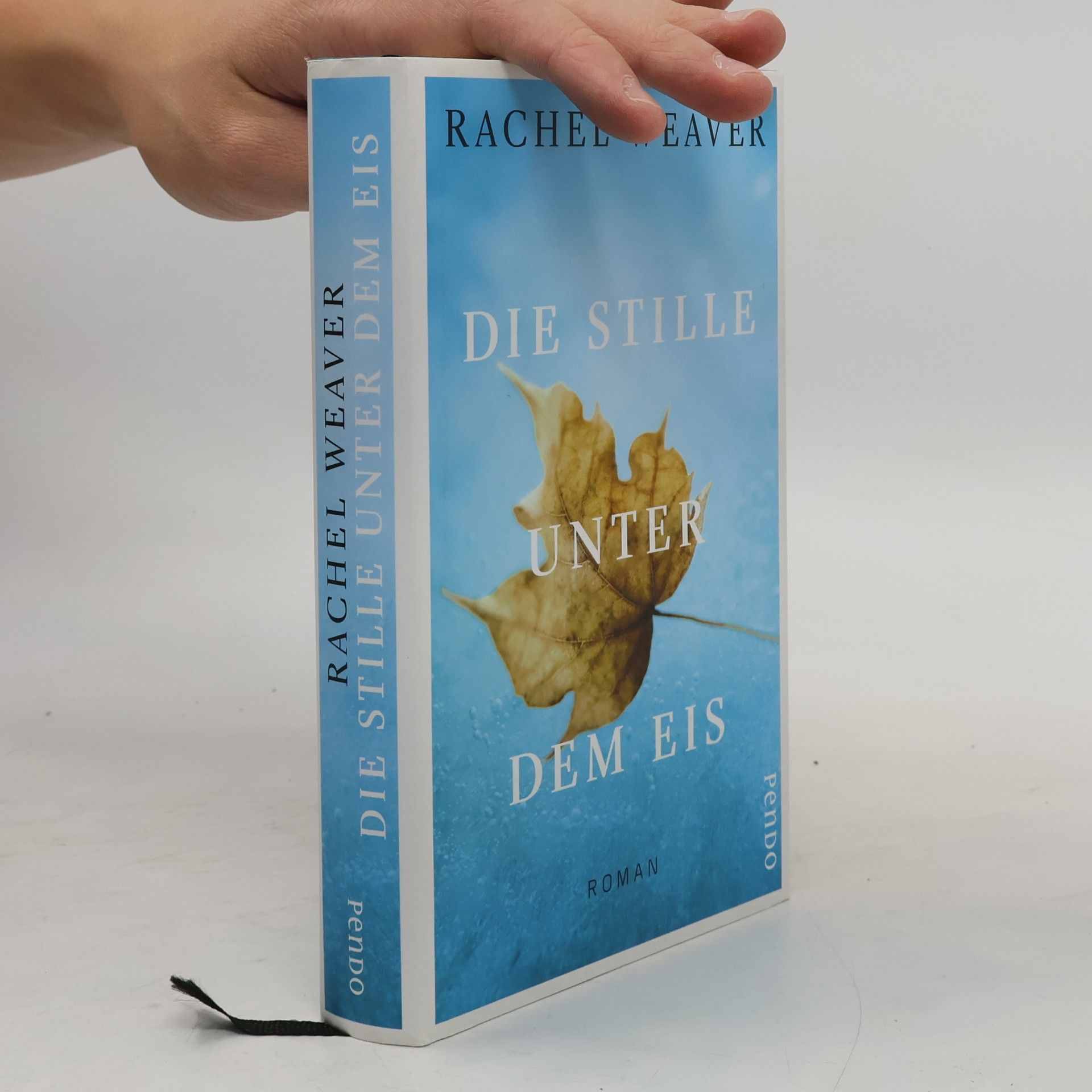 Rachel Weaver Die Stille unter dem Eis