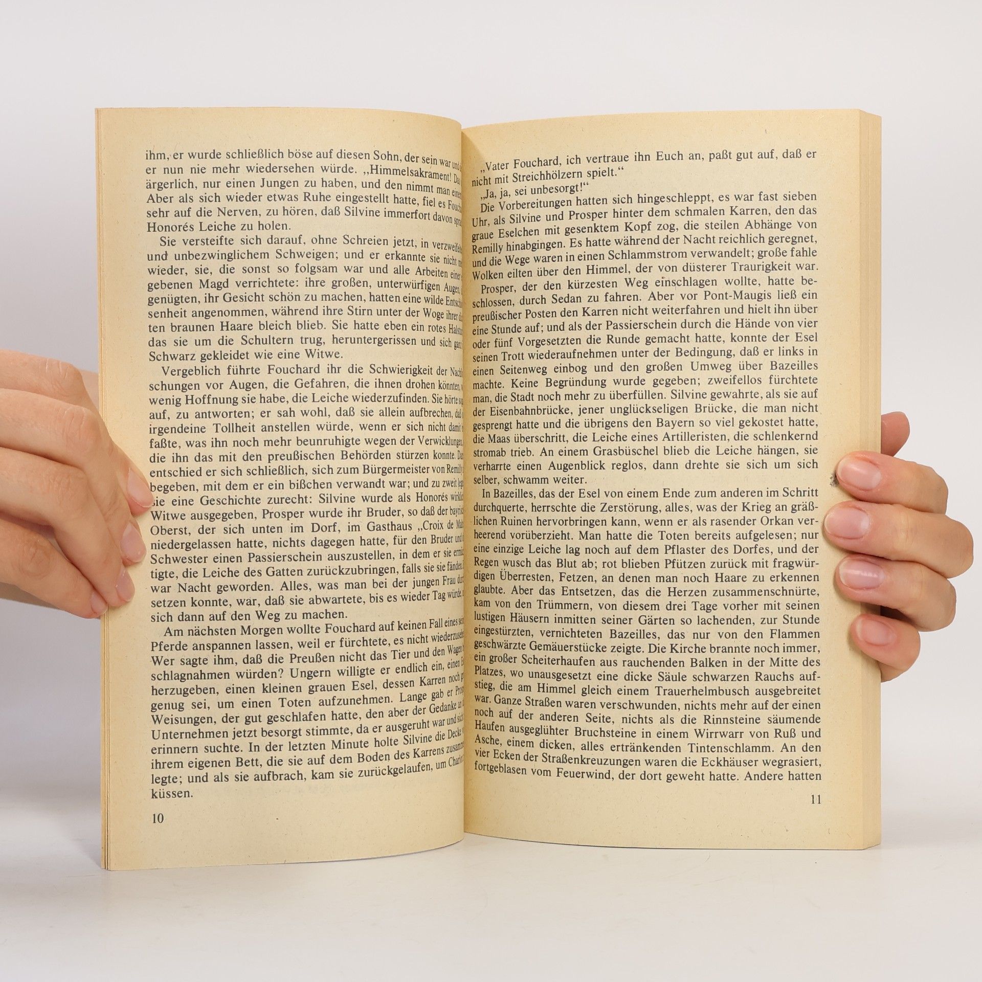 Émile Zola Der Zusammenbruch 2