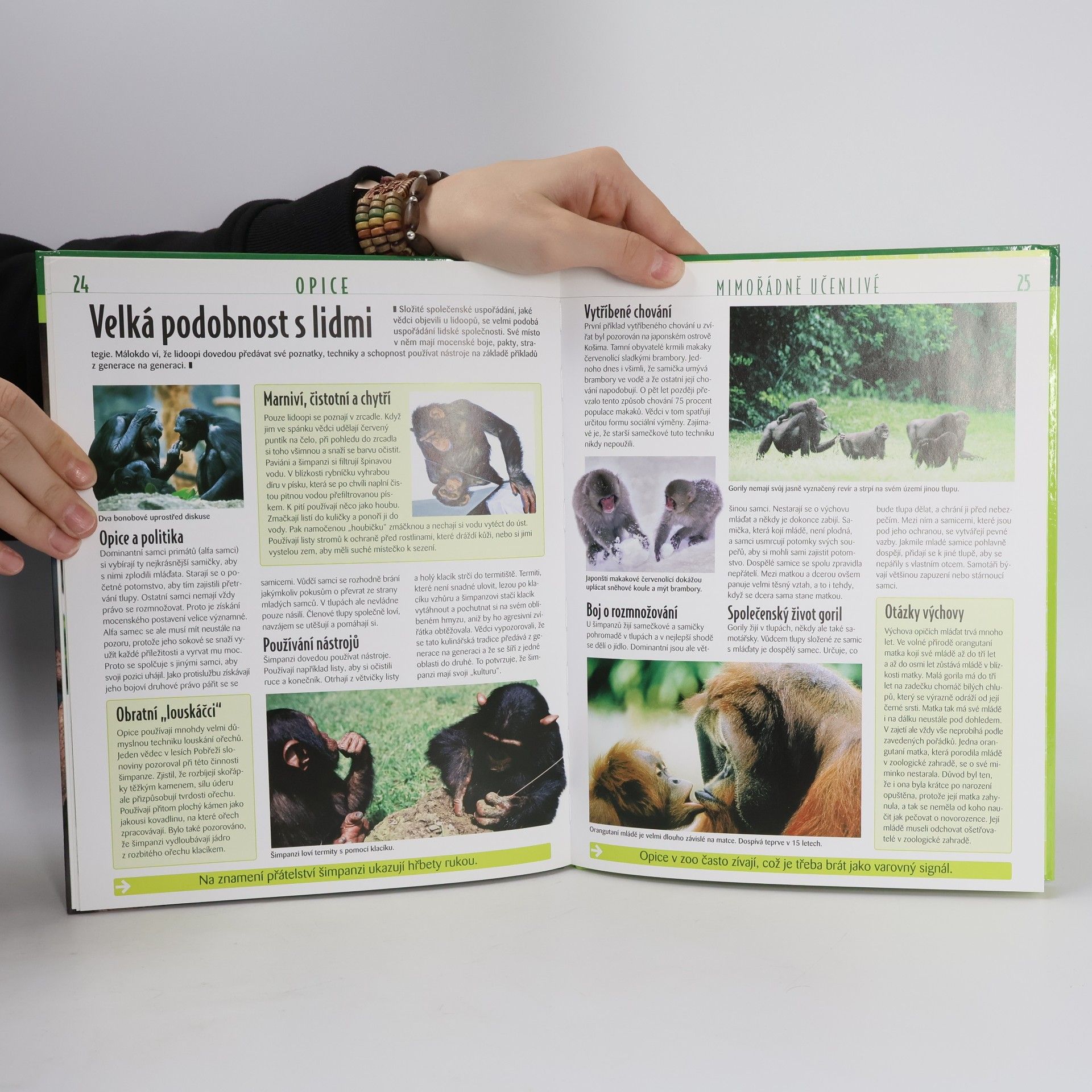 Autorenkollektiv Opice