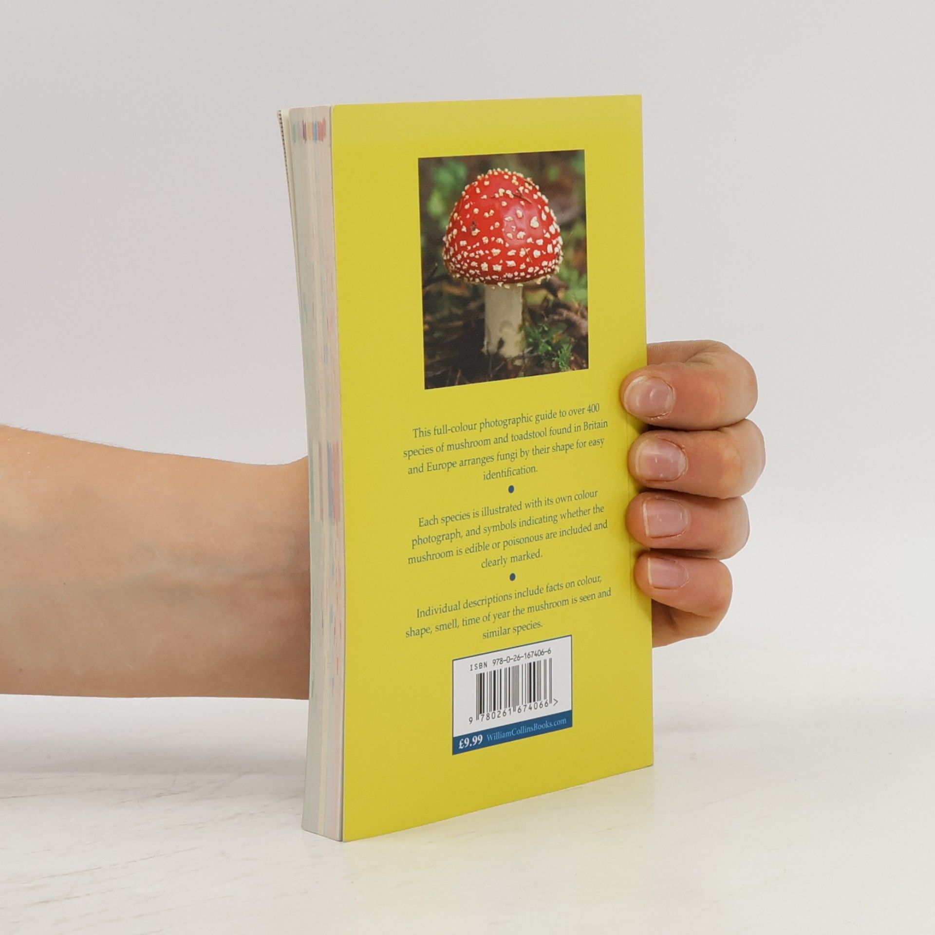 Edmund Garnweidner Collins Mushroom & Toadstools Book Edmund Garnweidner