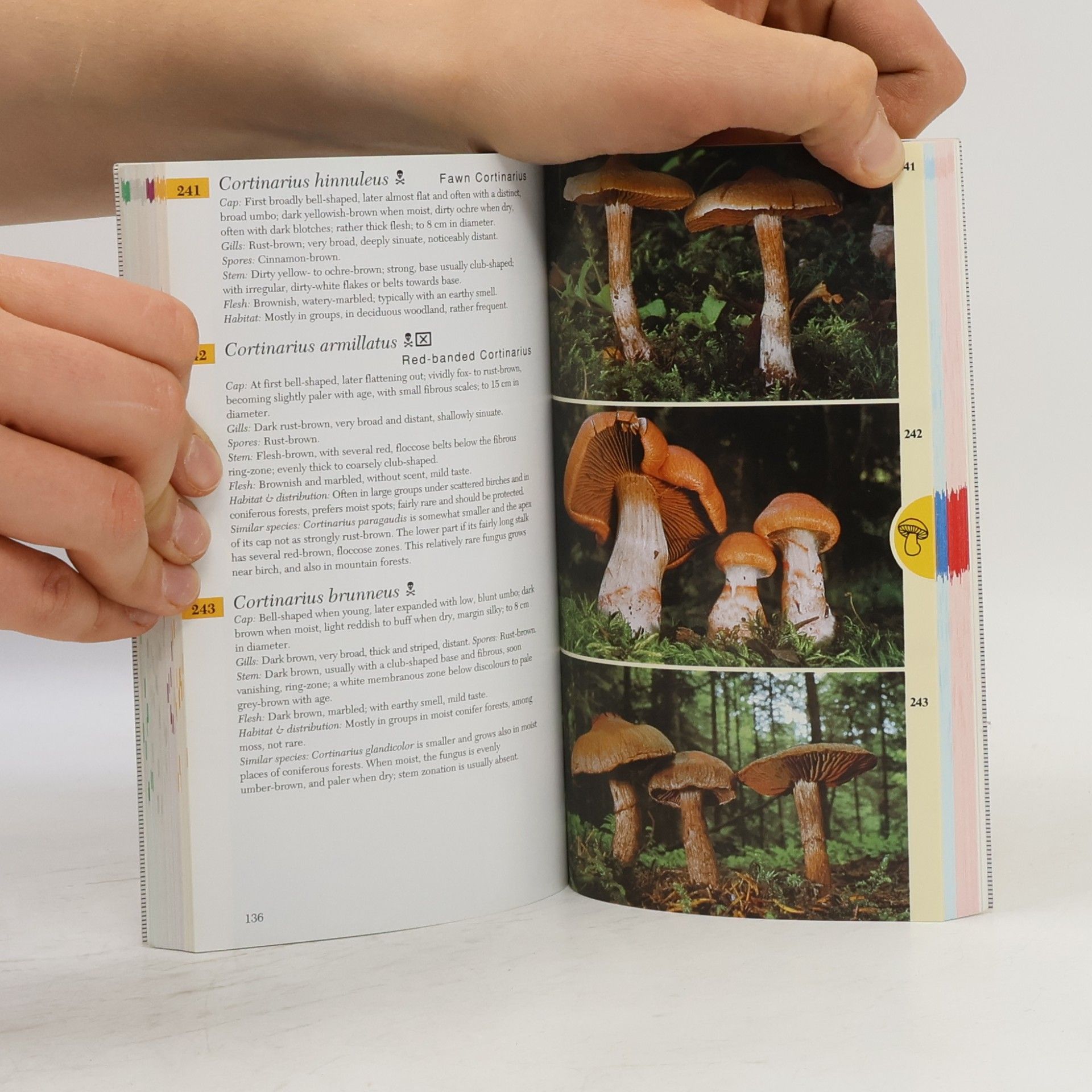 Edmund Garnweidner Collins Mushroom & Toadstools Book Edmund Garnweidner
