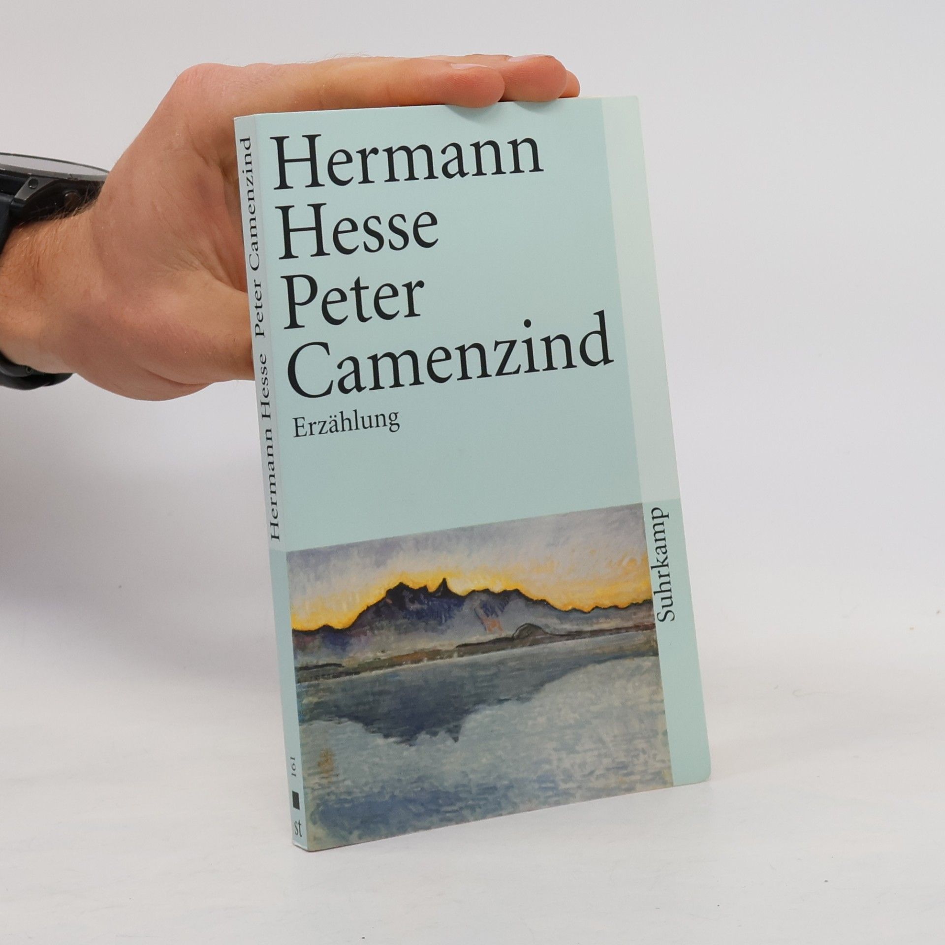 Hermann Hesse Peter Camenzind
