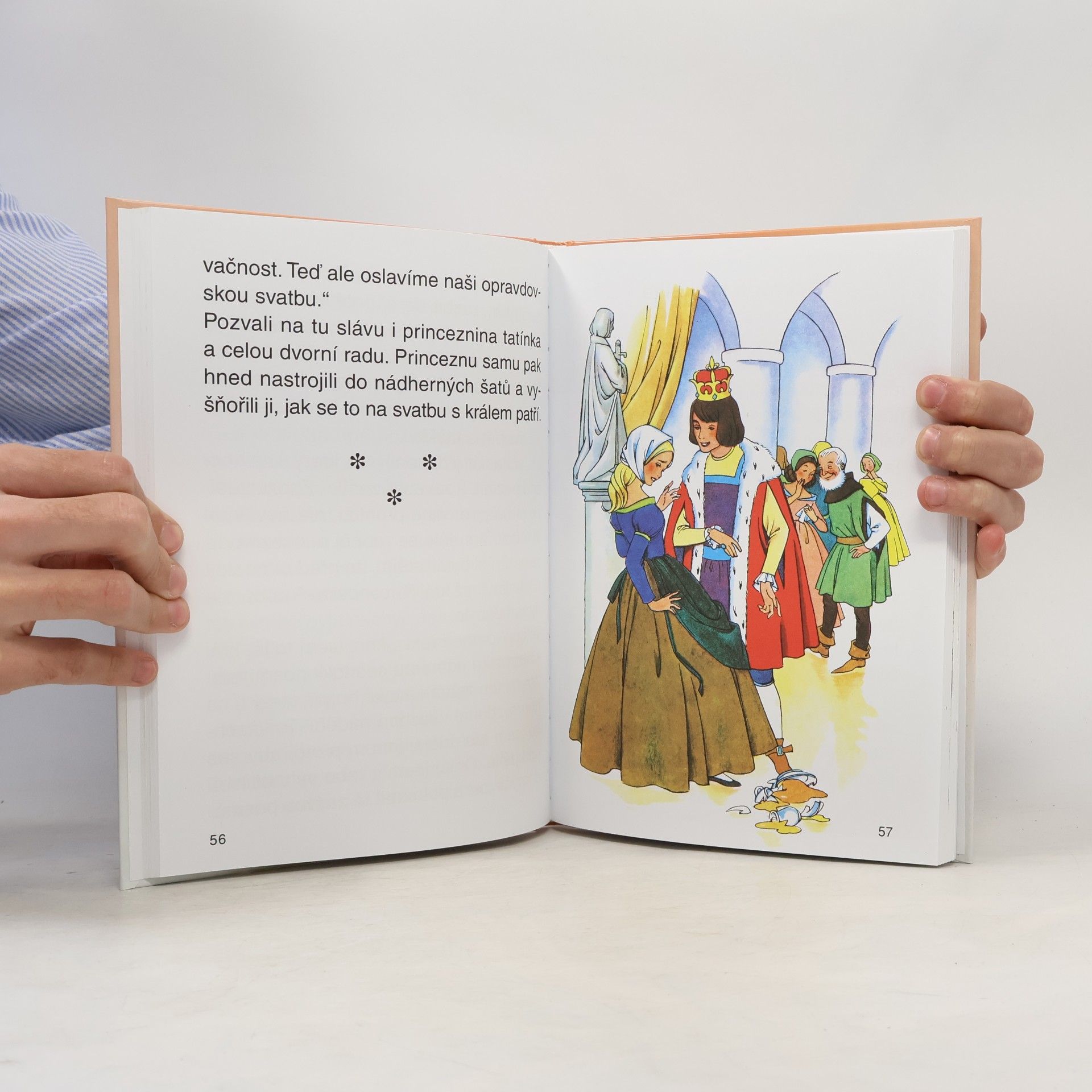 Jacob Grimm Nejkrásnější pohádky bratří Grimmů