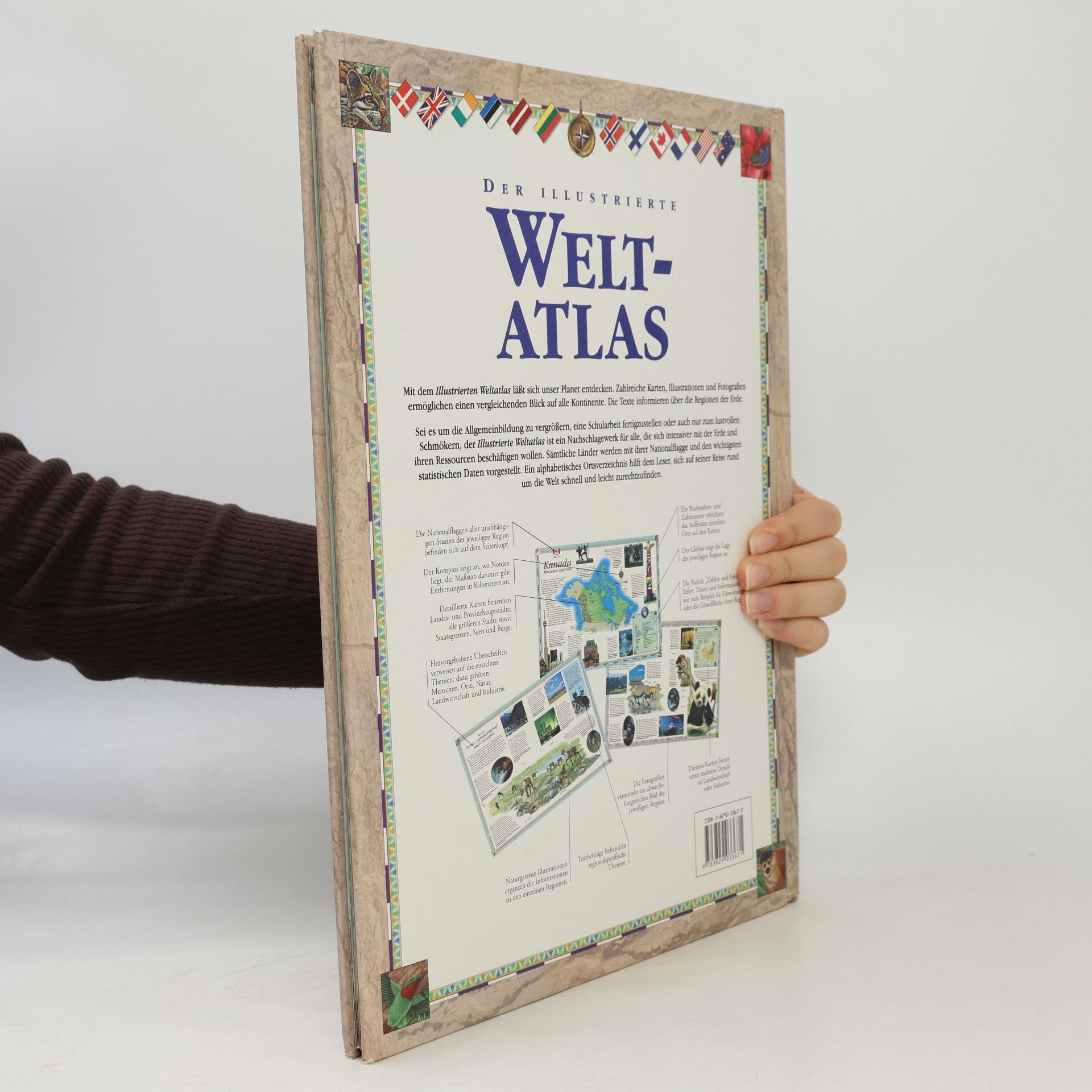 Alisdair Rogers Der illustrierte Weltatlas