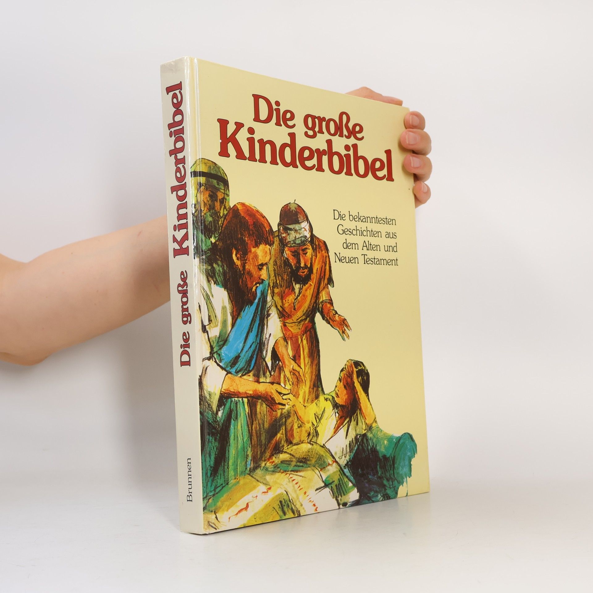 Kolektiv autorů Die große Kinderbibel