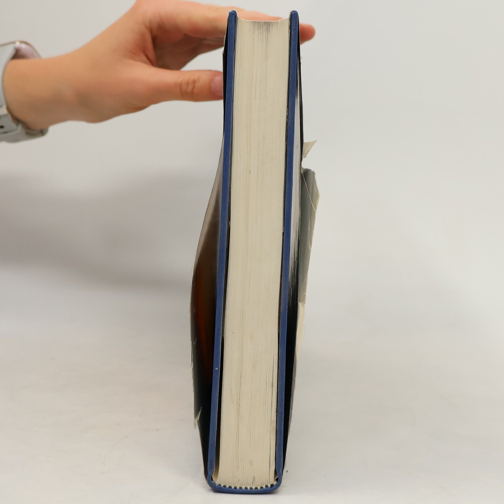 Robert Spieser Handbuch für Beleuchtung