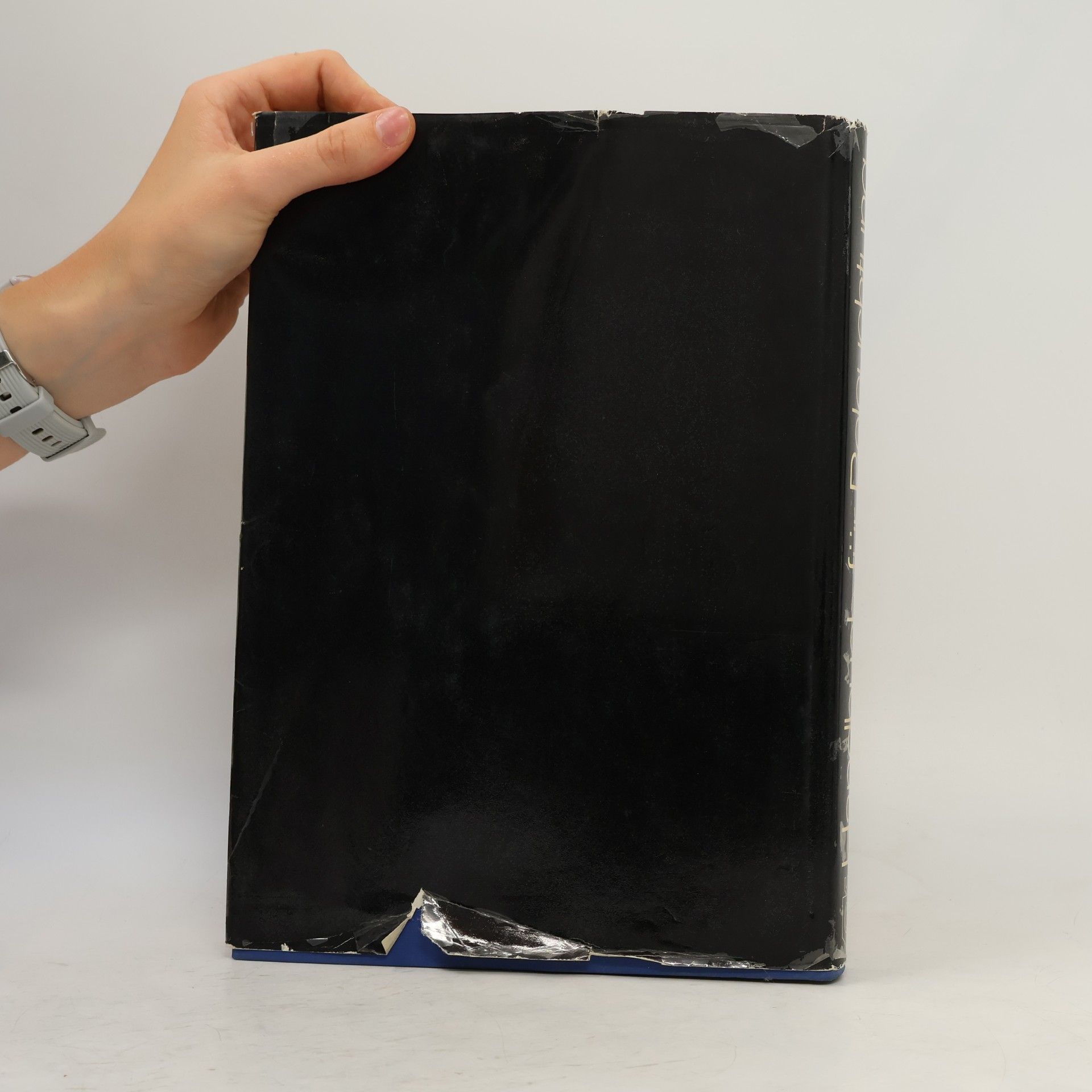 Robert Spieser Handbuch für Beleuchtung
