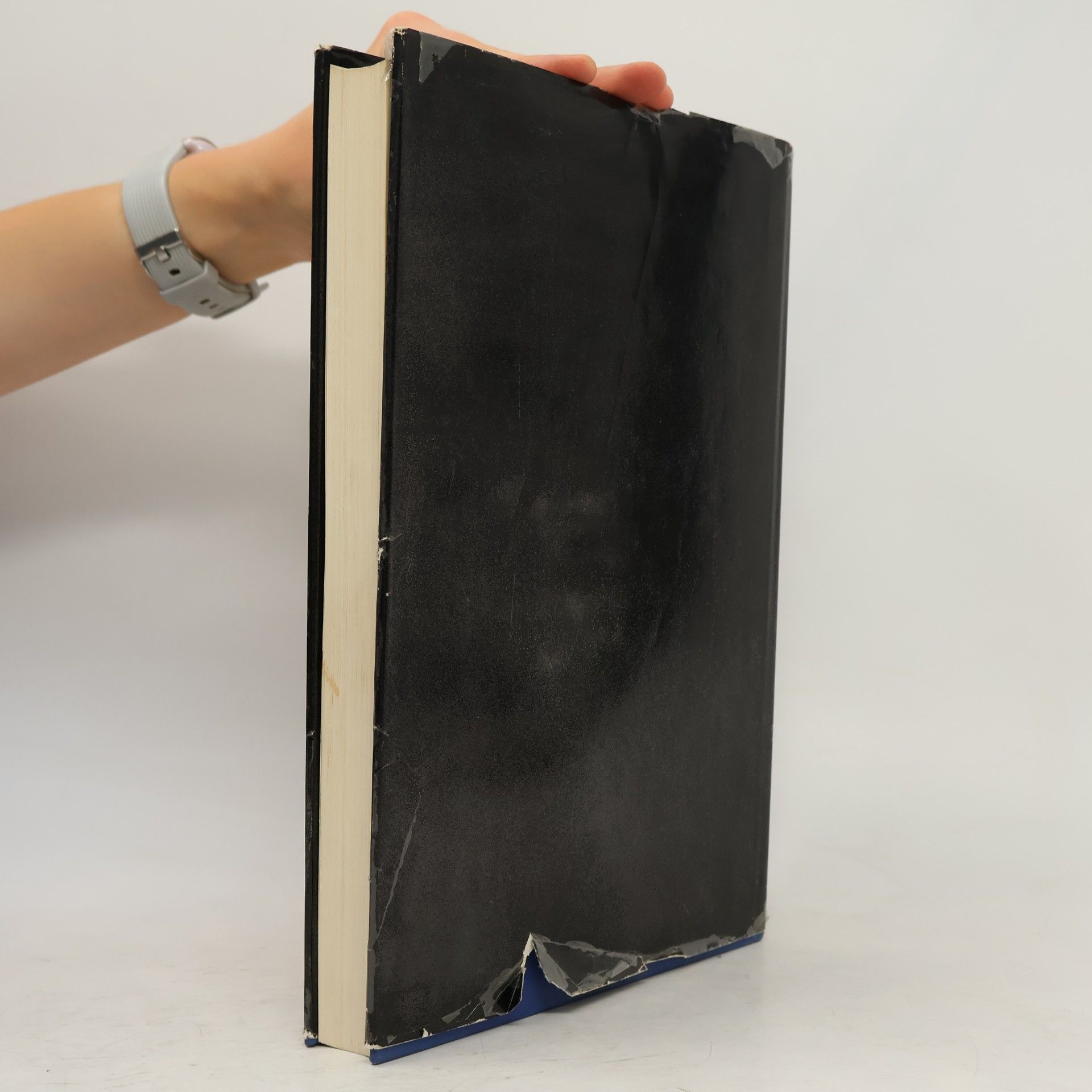 Robert Spieser Handbuch für Beleuchtung