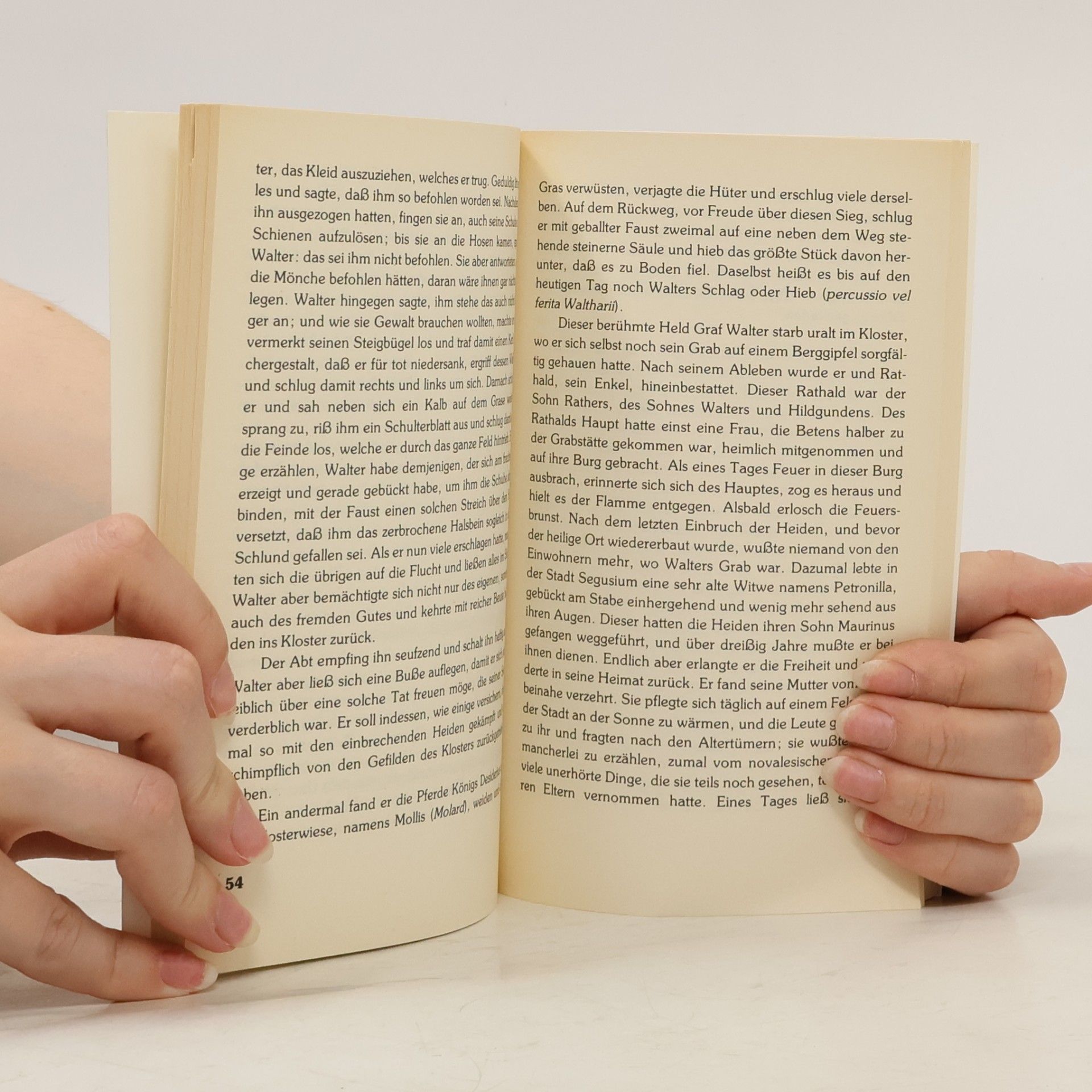 Various authors Sagen zur deutschen Geschichte