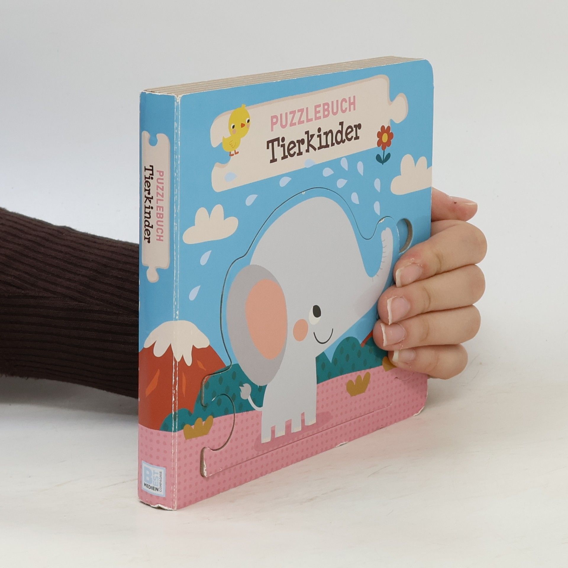 Deborah Van De Leijgraaf Puzzlebuch Tierkinder