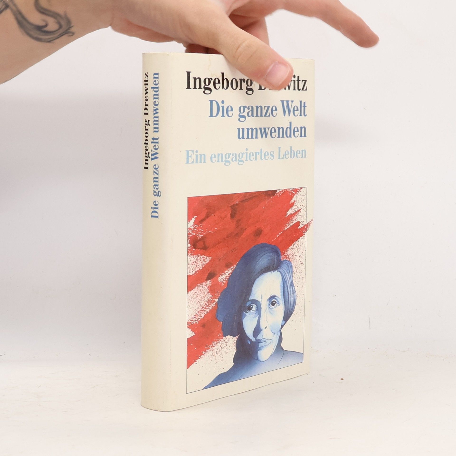 Ingeborg Drewitz Die ganze Welt umwenden. Ein engagiertes Leben