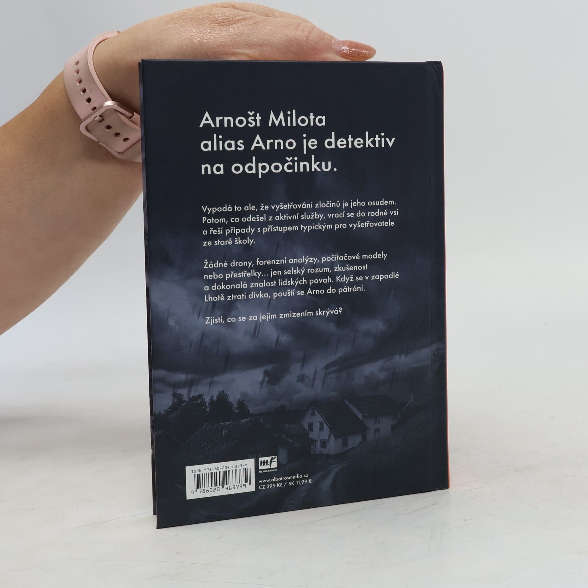 Martin Goffa Ve výslužbě. Zmizelá, aneb, První poslední případ