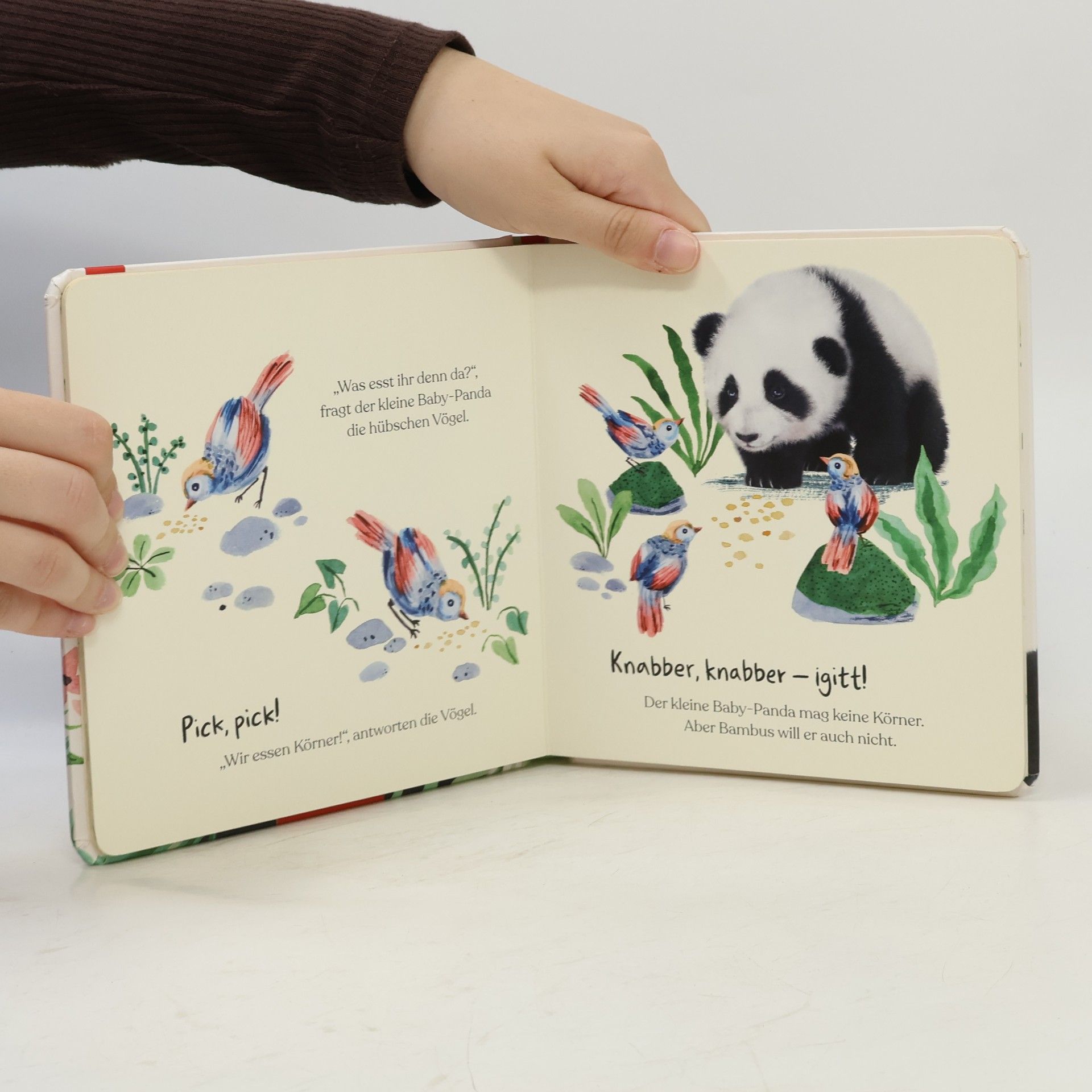 Bec Winnel Kleiner Panda