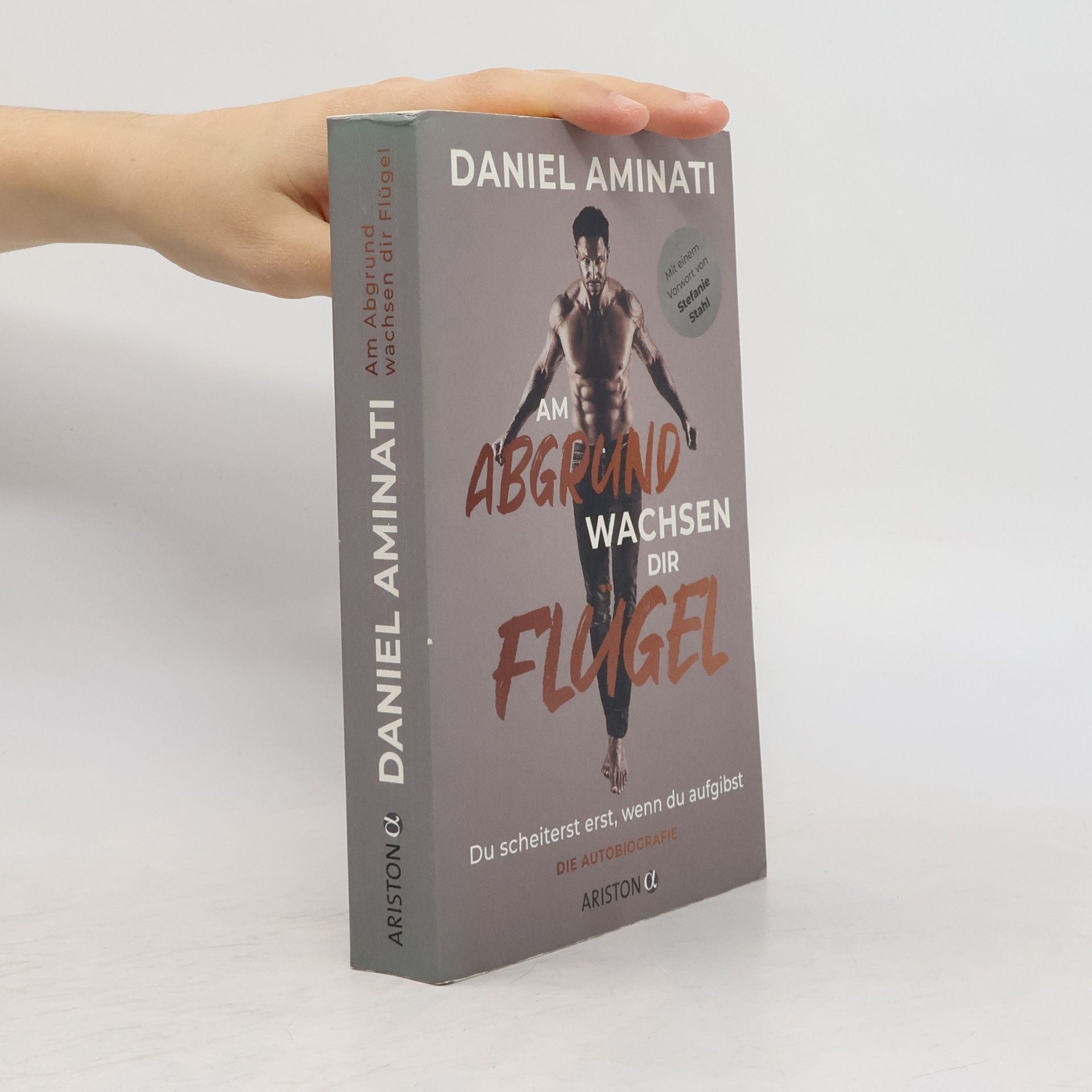 Daniel Aminati Am Abgrund wachsen dir Flügel