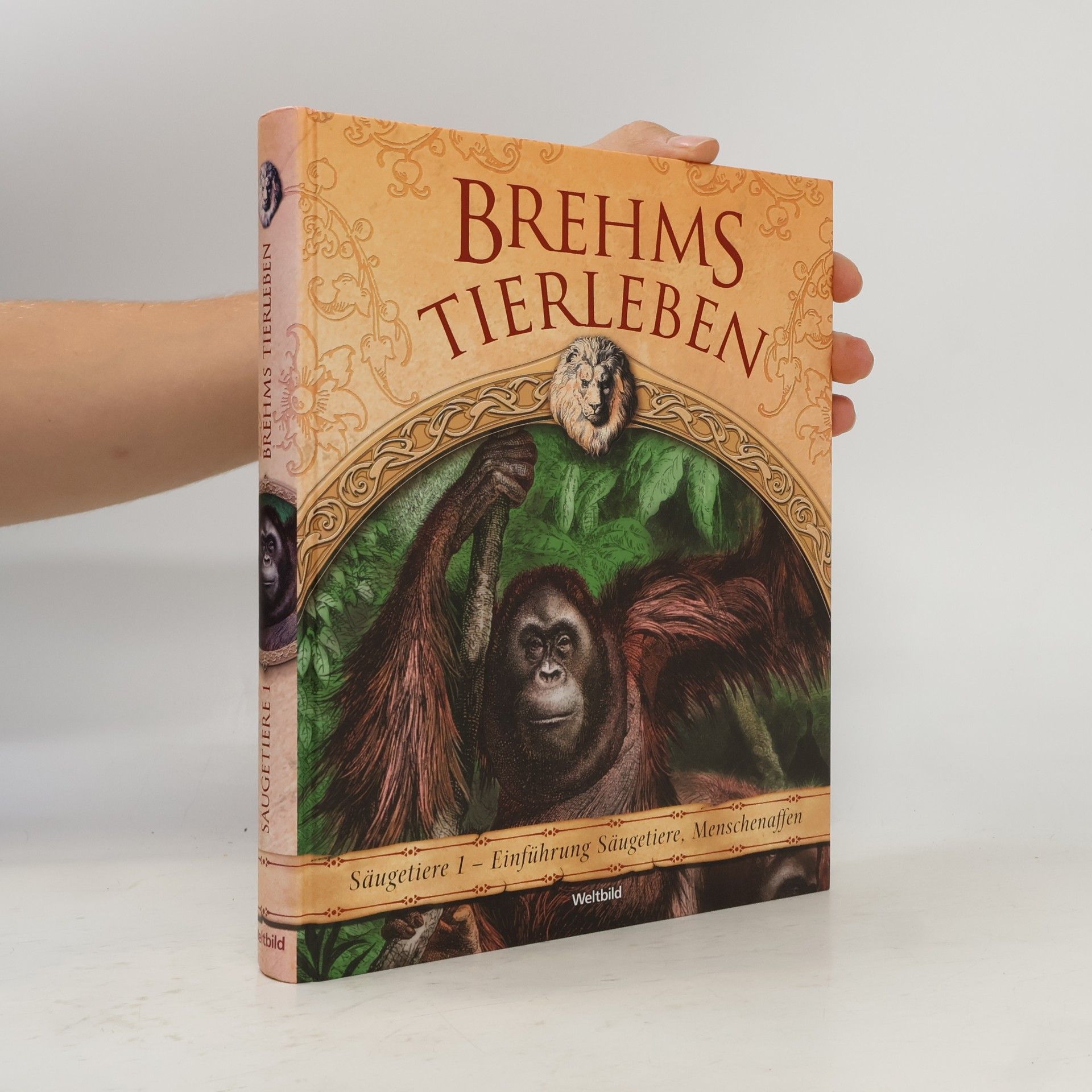 Alfred Edmund Brehm Brehms Tierleben. Säugetiere 1