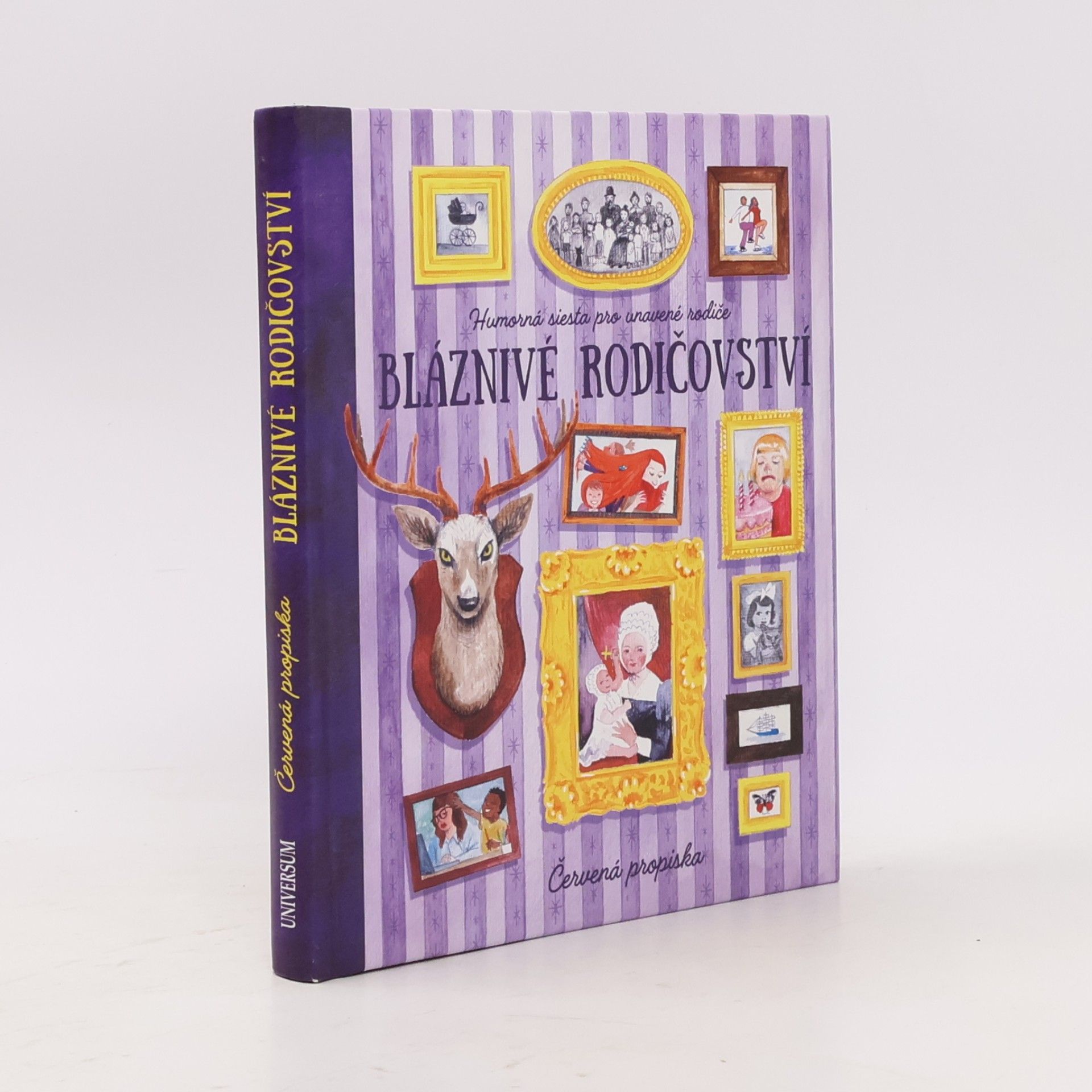 Kolektiv autorů Bláznivé rodičovství. Humorná siesta pro unavené rodiče