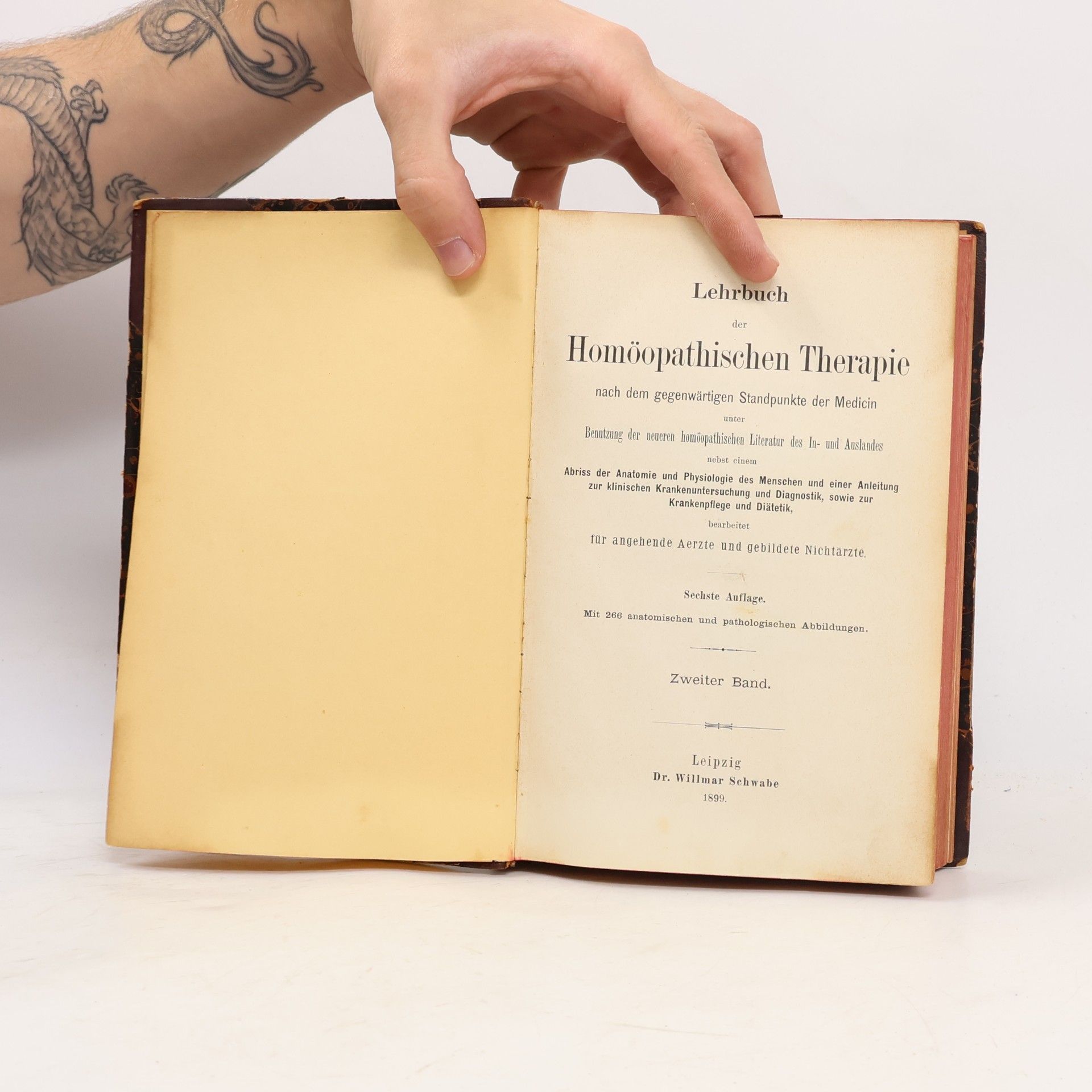 Autorenkollektiv Lehrbuch der homöopathischen Therapie II