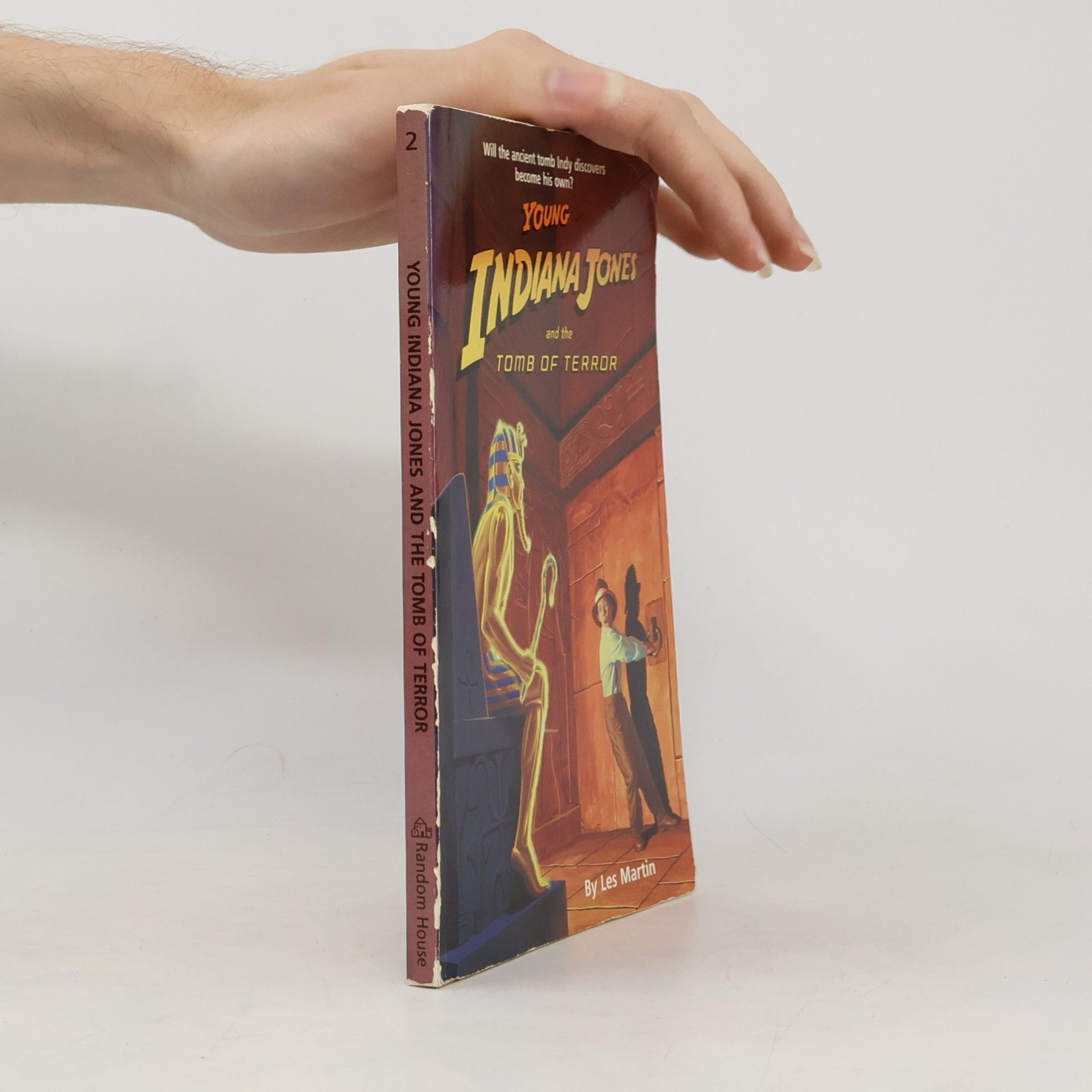 Les Martin Young Indiana Jones and the Tomb of Terror