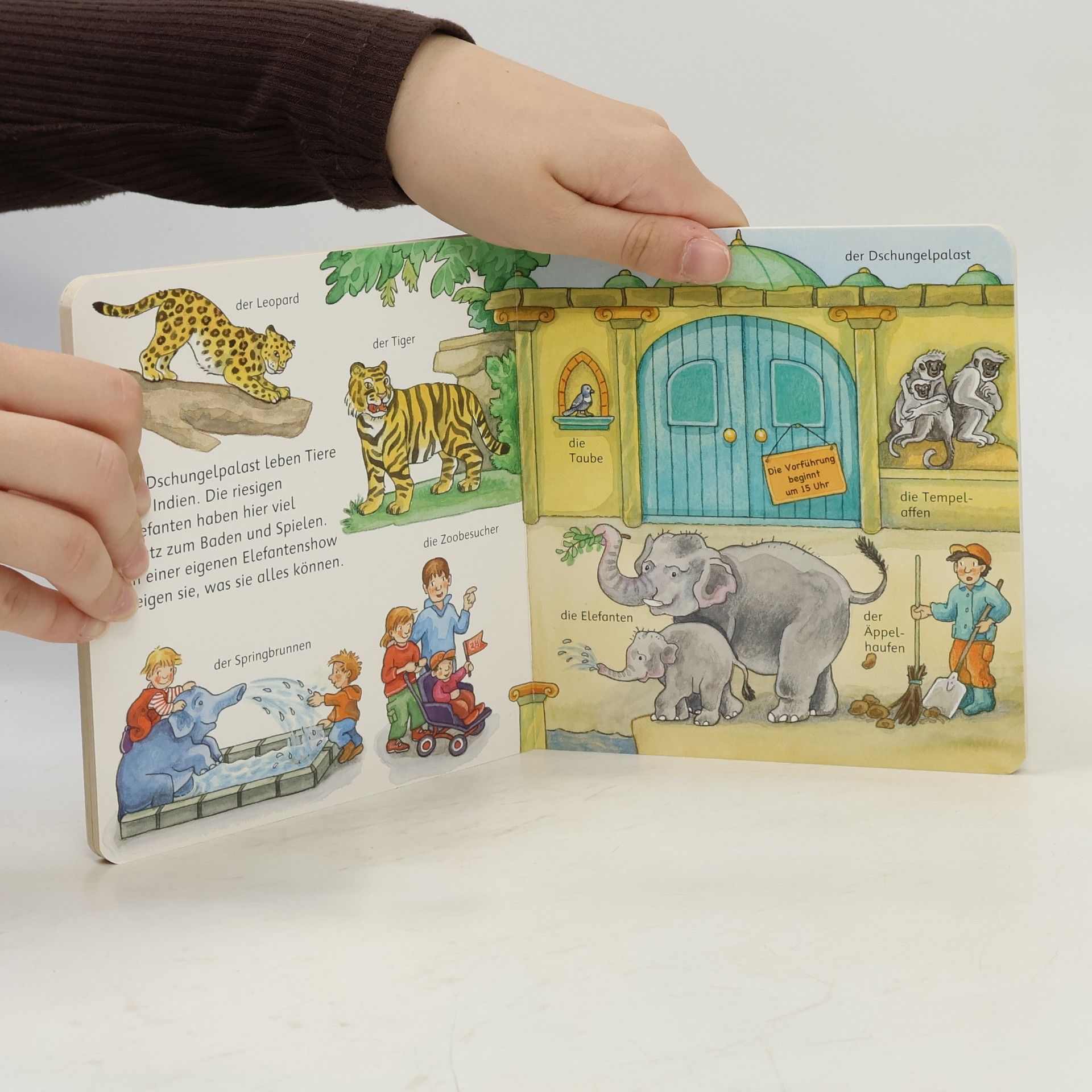 Susanne Gernhäuser Mein erstes Wörterbuch. Im Zoo
