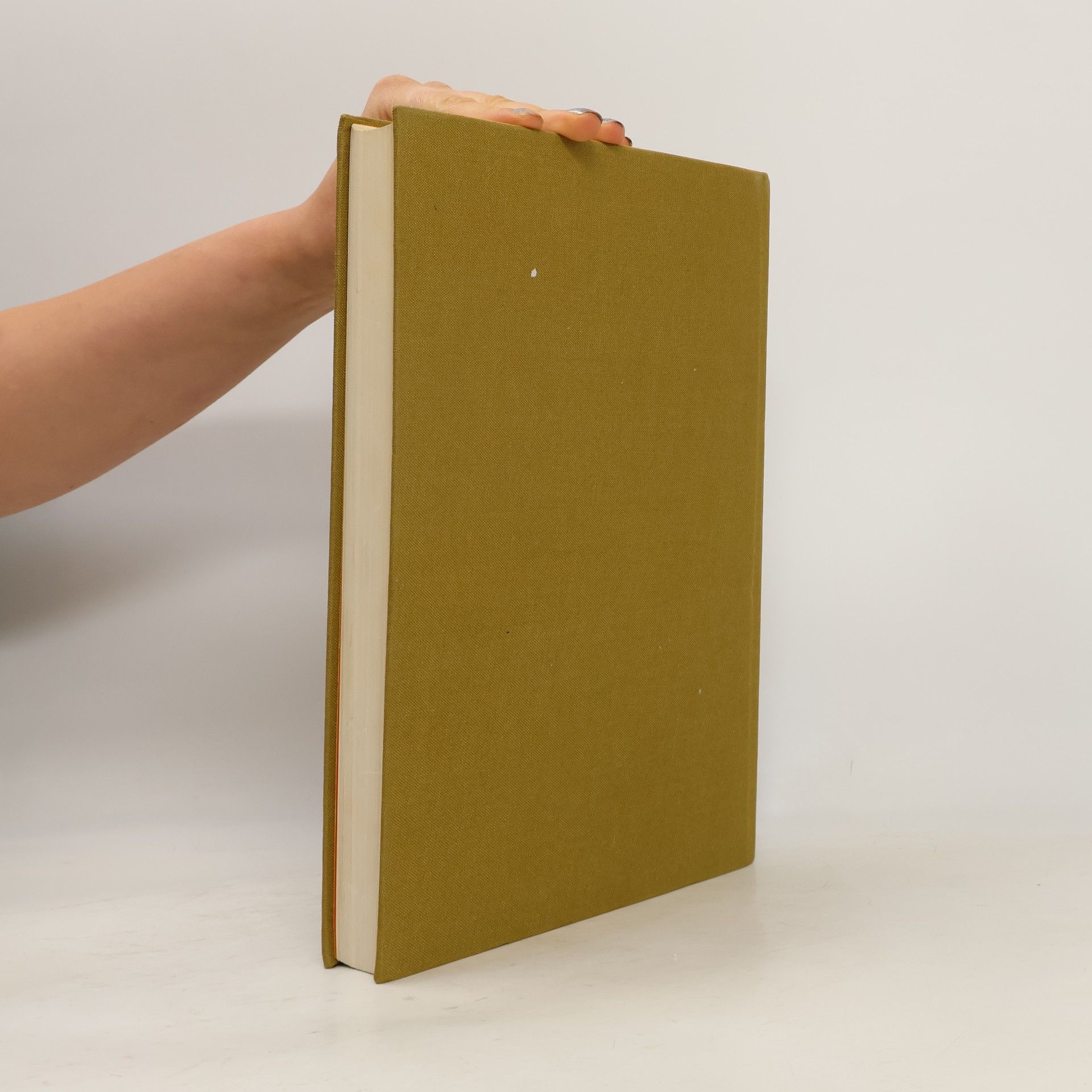 Various authors Das dicke Busch-Buch