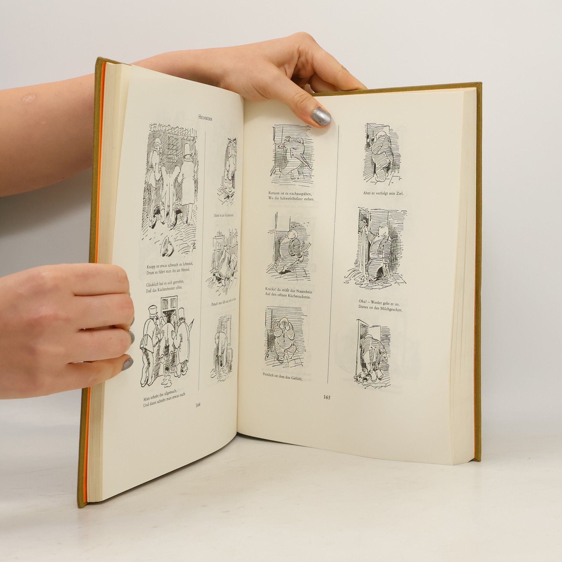 Various authors Das dicke Busch-Buch