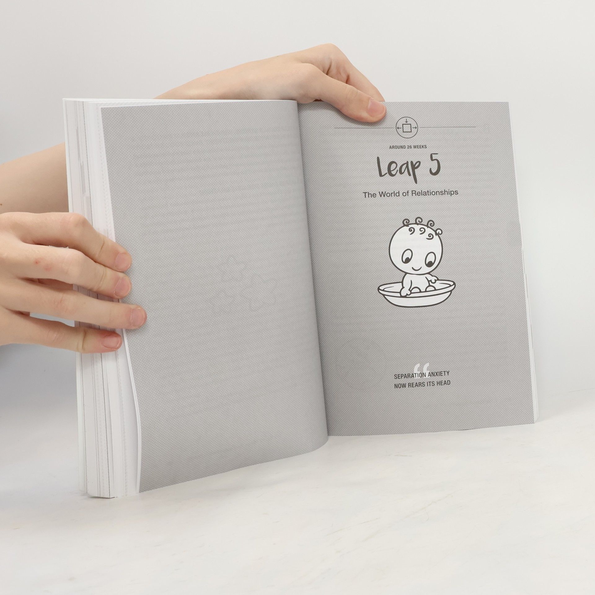 Xaviera Plas Plooij The wonder weeks : a stress-free guide to your baby's behavior