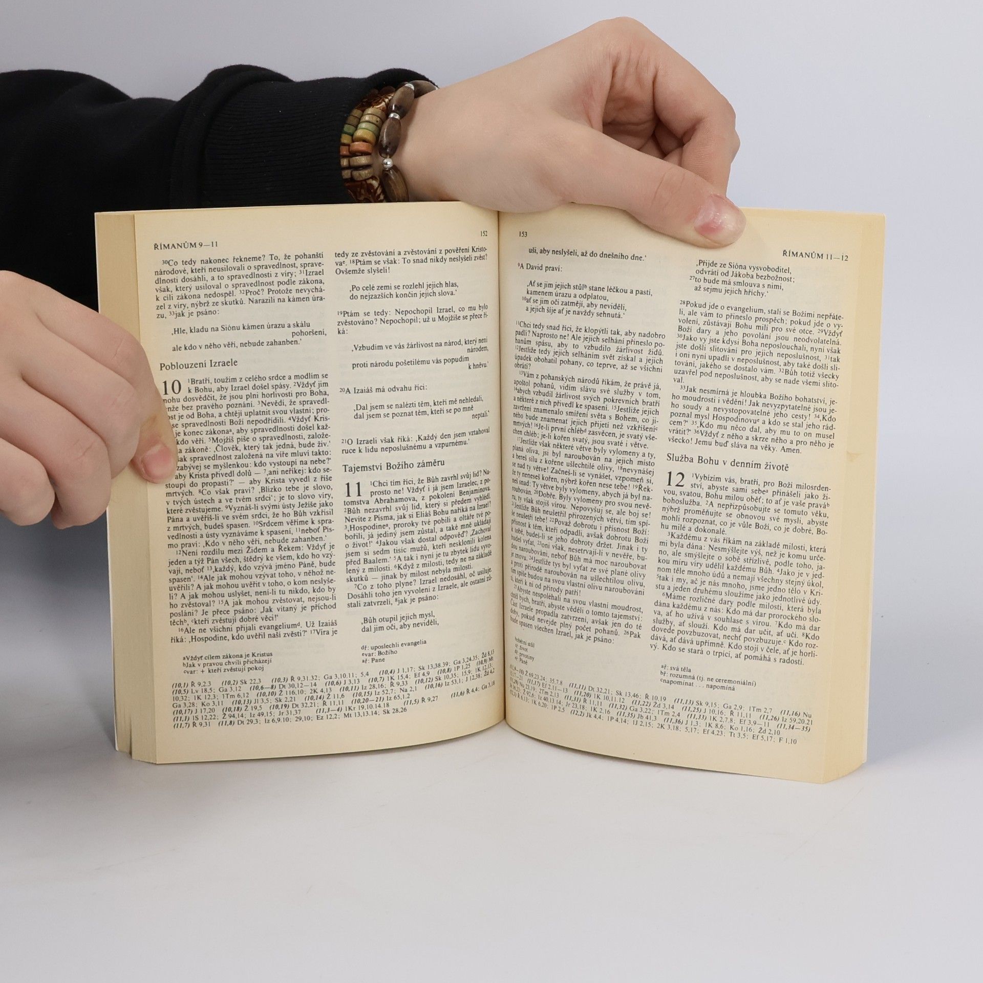 kolektiv Bible. Nový zákon