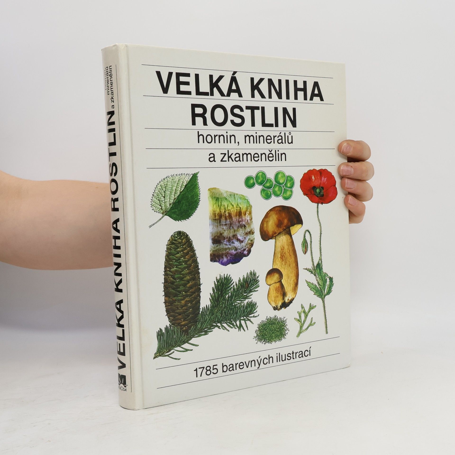 Jindřich Krejča Velká kniha rostlin : hornin, minerálů a zkamenělin