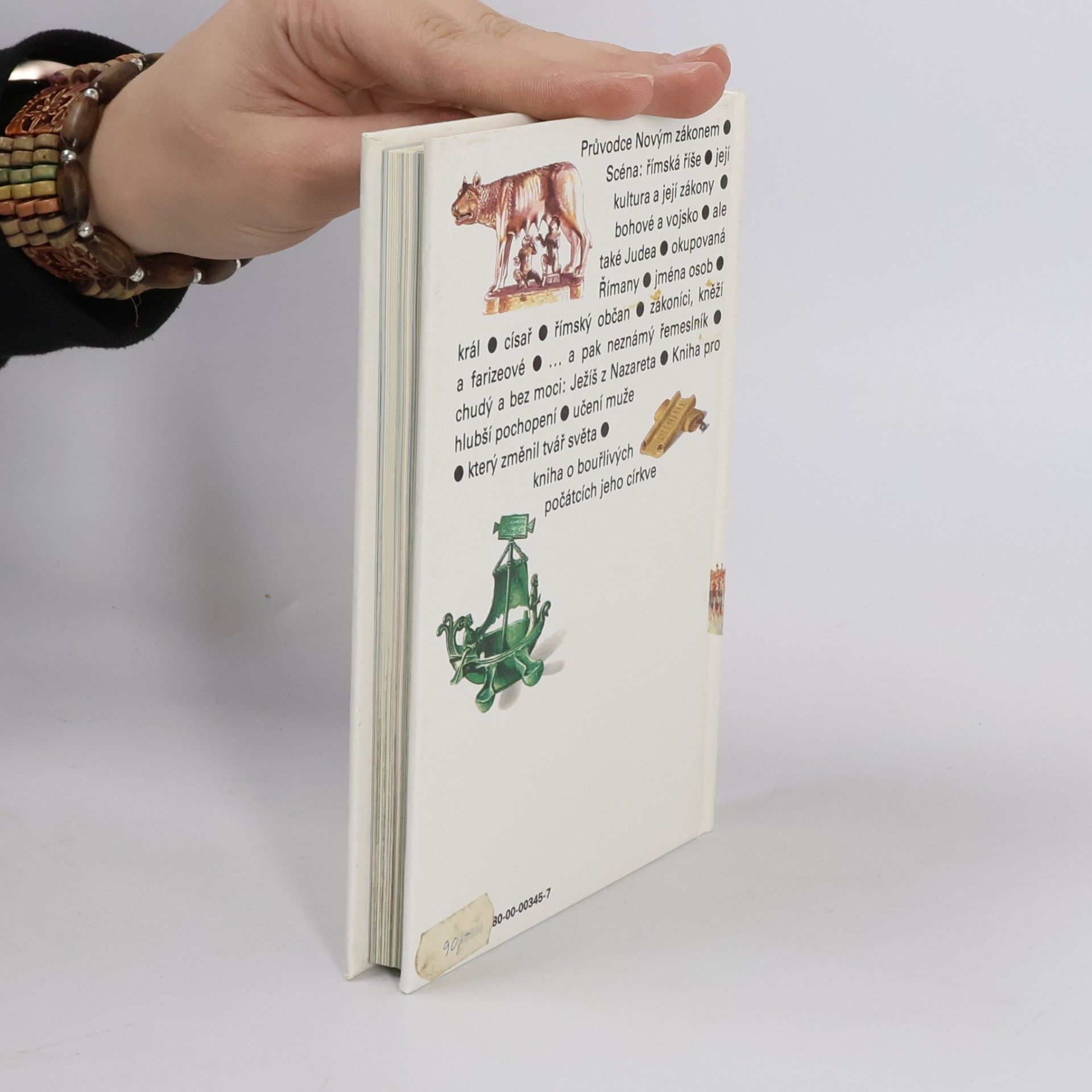 Autorenkollektiv Kniha o Bibli. Nový zákon