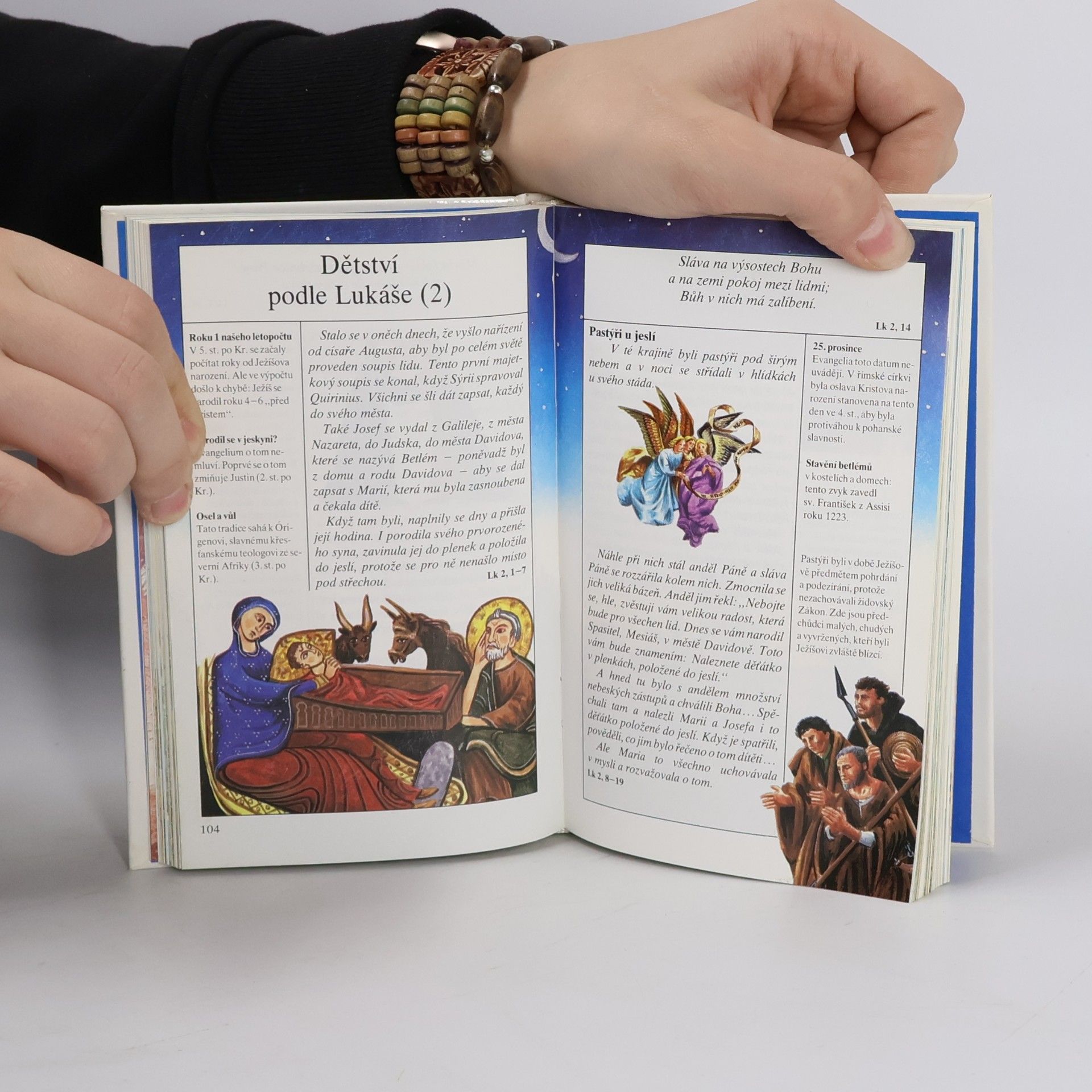 Autorenkollektiv Kniha o Bibli. Nový zákon