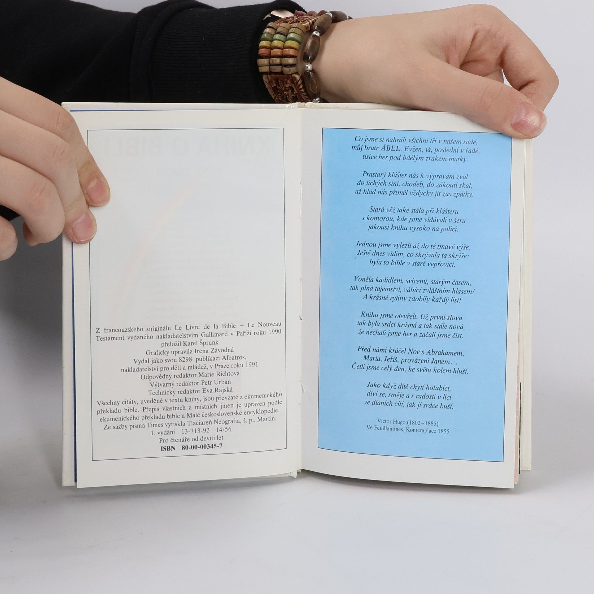 Autorenkollektiv Kniha o Bibli. Nový zákon