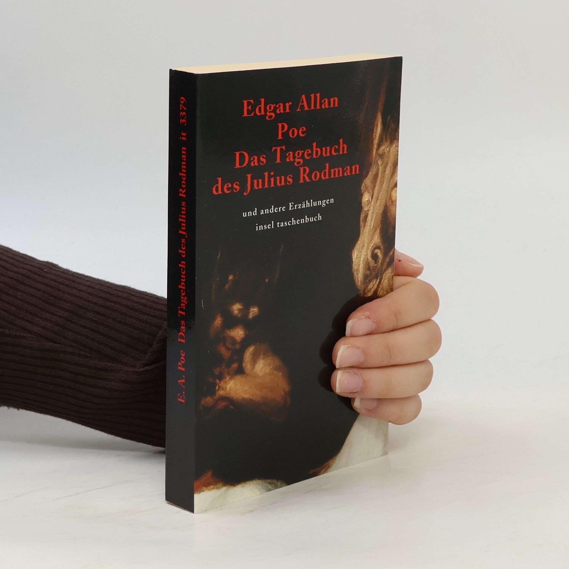 Edgar Allan Poe Sämtliche Erzählungen in vier Bänden - 4: Das Tagebuch des Julius Rodman und andere Erzählungen