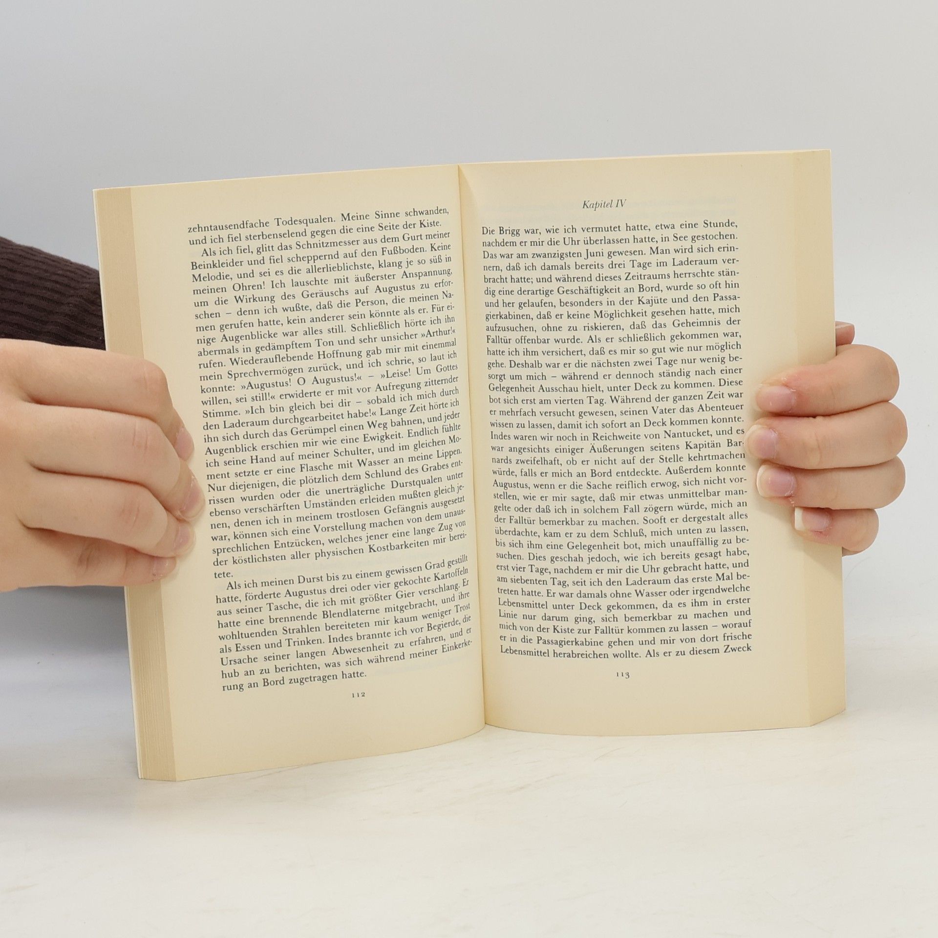 Edgar Allan Poe Sämtliche Erzählungen in vier Bänden - 4: Das Tagebuch des Julius Rodman und andere Erzählungen