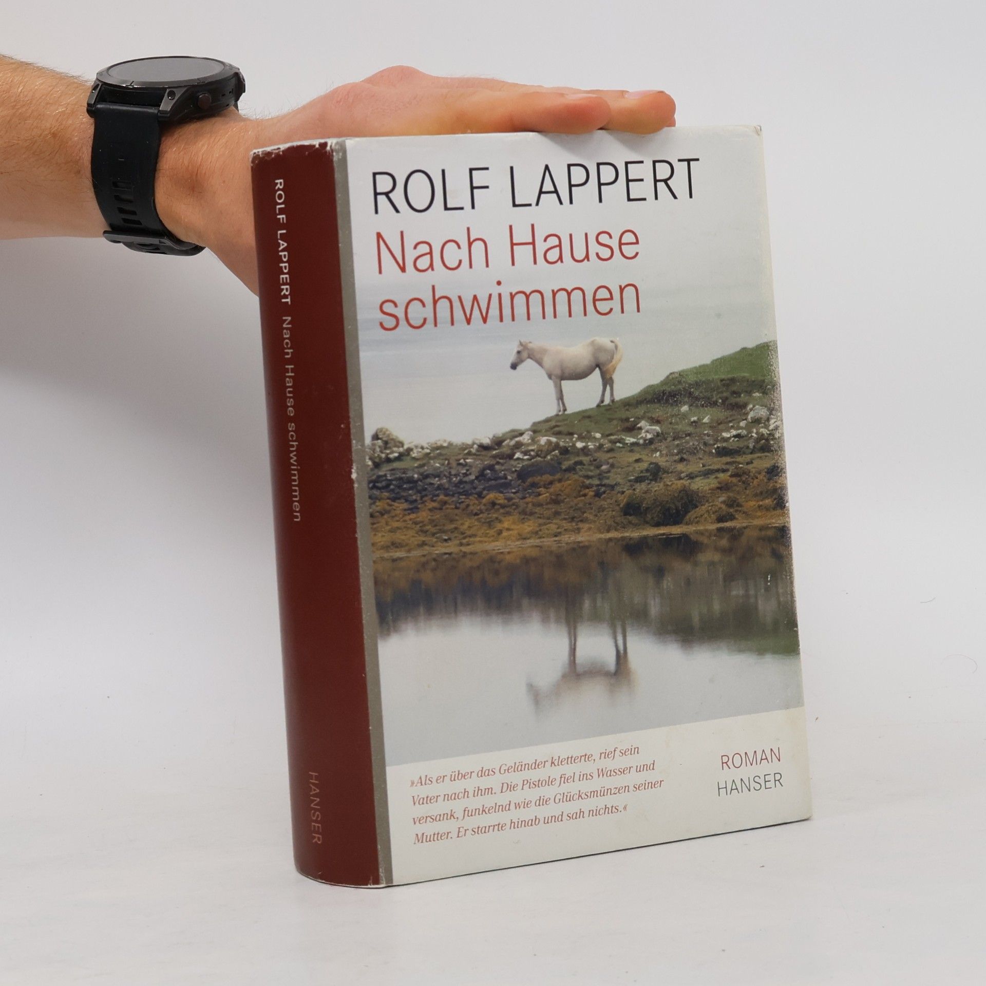 Rolf Lappert Nach Hause schwimmen